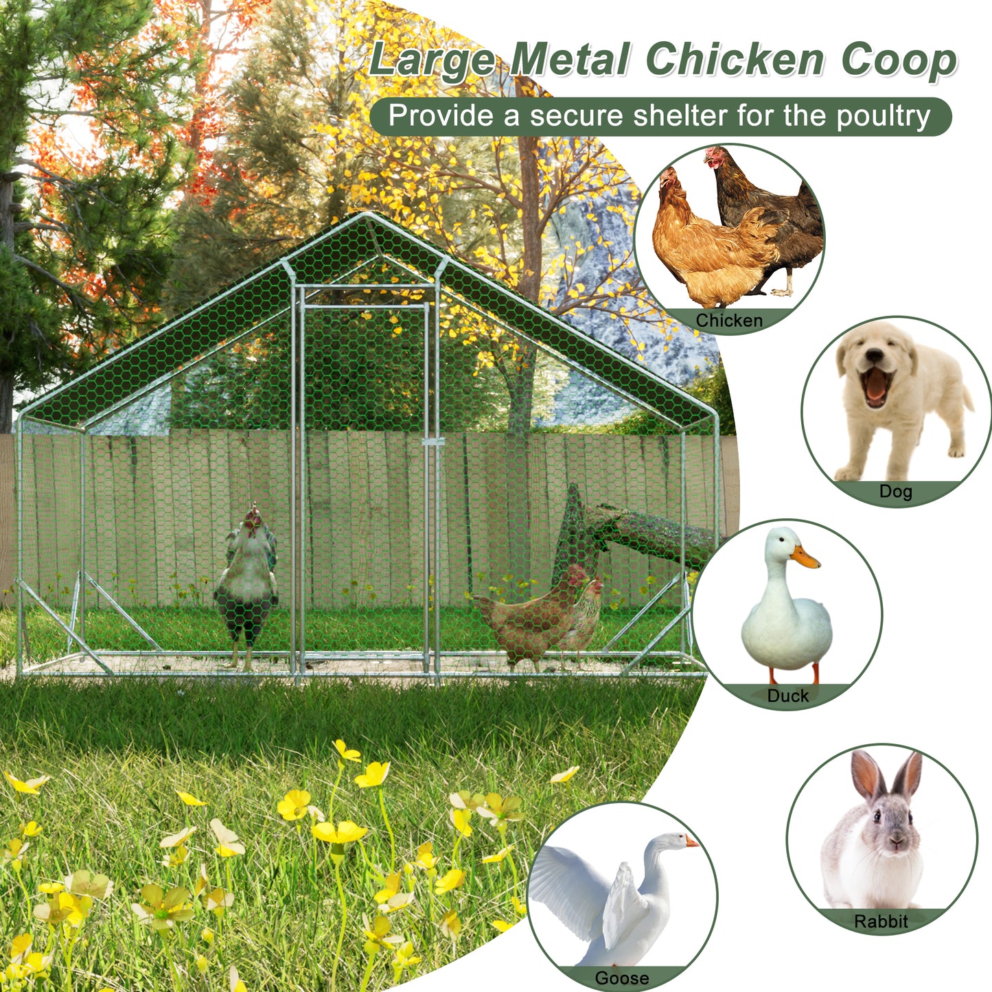 Large metal chicken coop with green hexagonal wire mesh suitable for poultry
