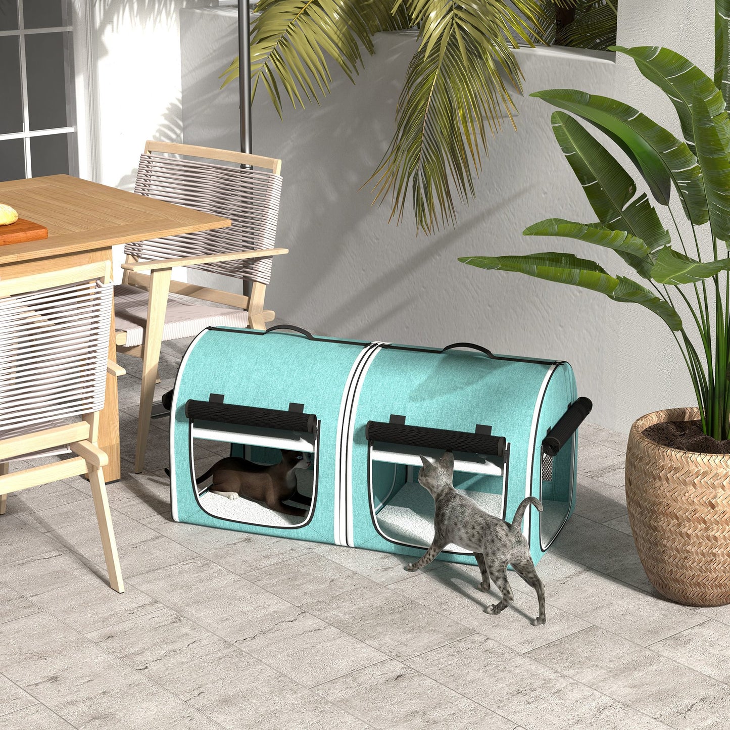 Twodoor teal pet carrier with side windows perfect for travel