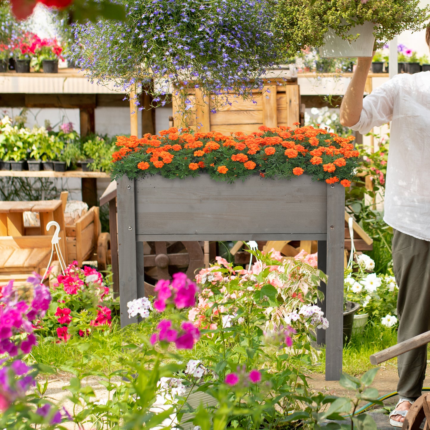 Gray wooden raised garden bed filled with vibrant orange marigolds