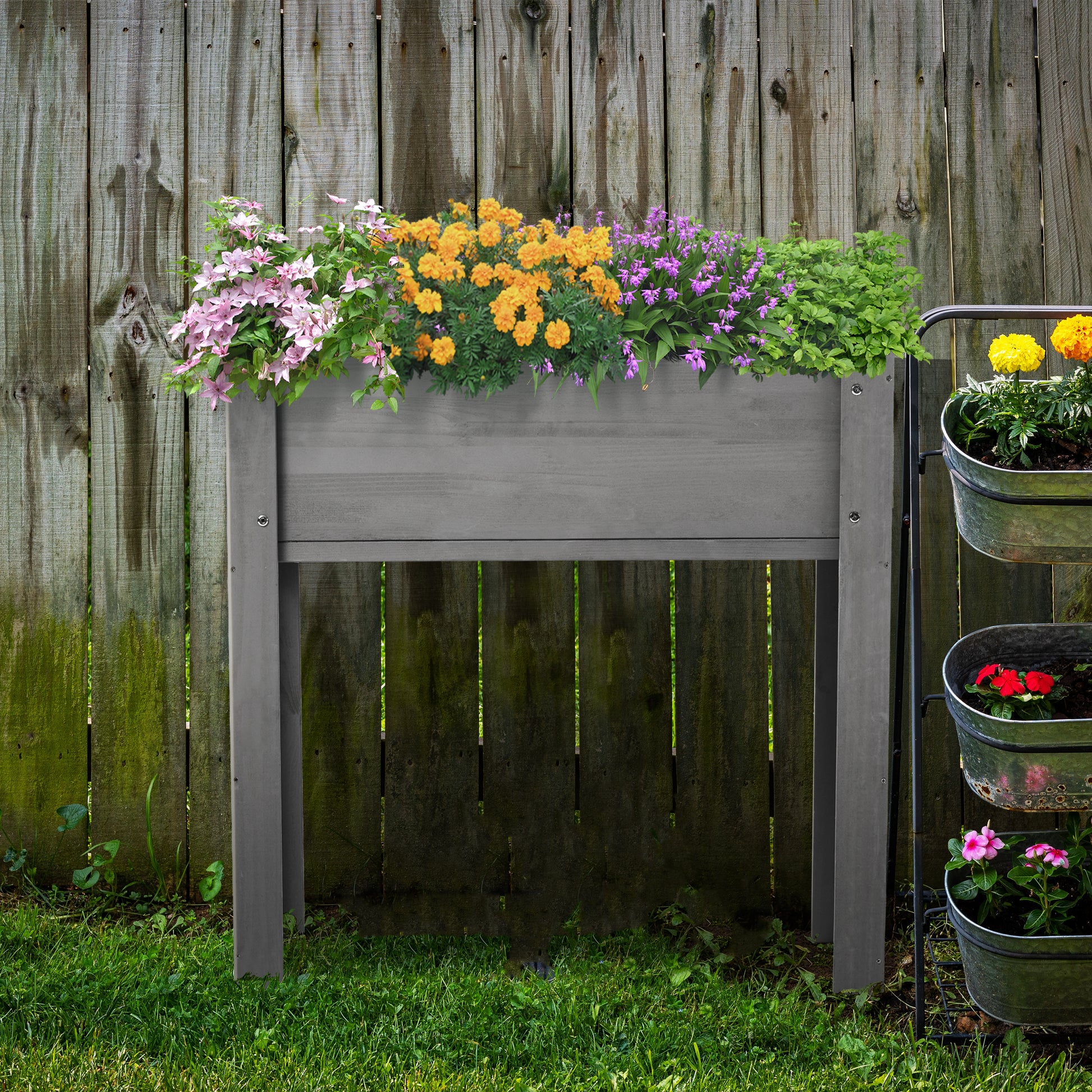 Gray wooden raised garden bed filled with pink clematis yellow marigolds and purple flowers