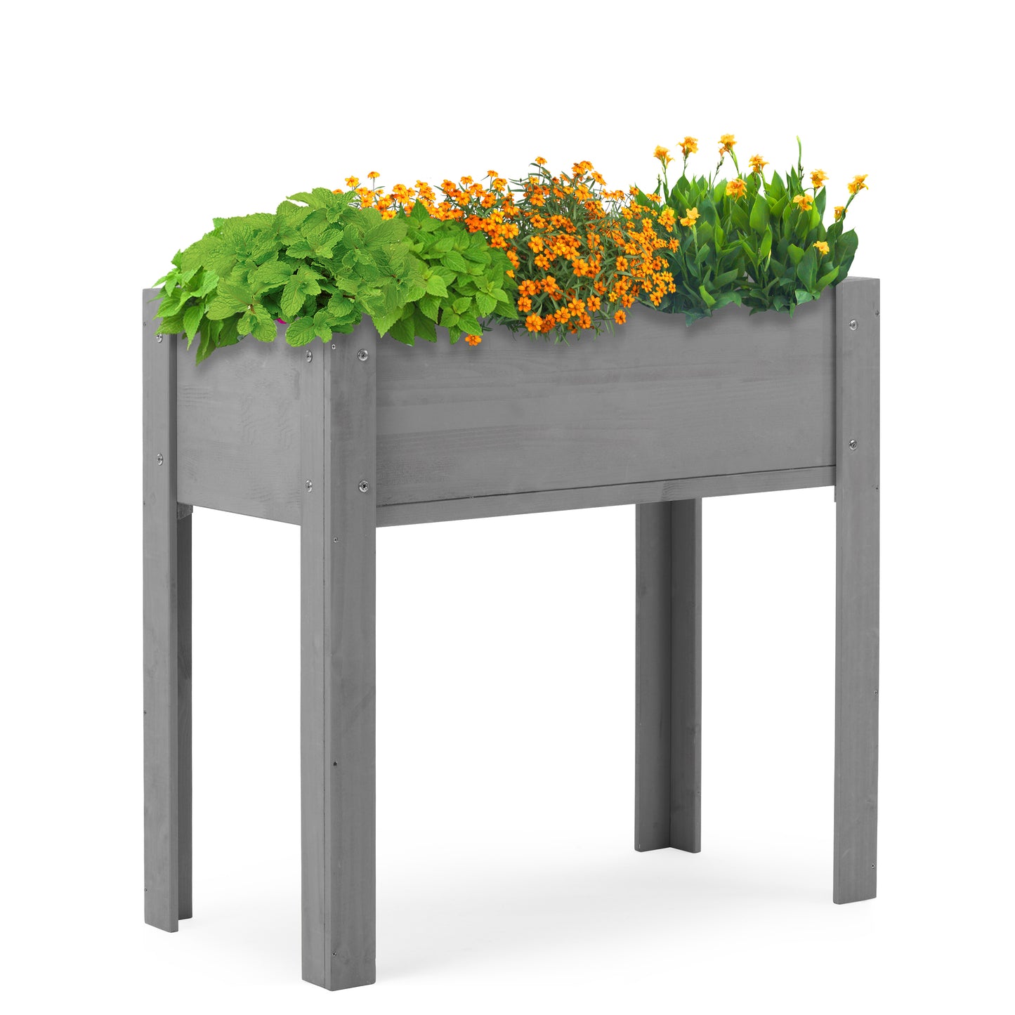 Gray wooden raised garden bed with green mint and orange marigold flowers