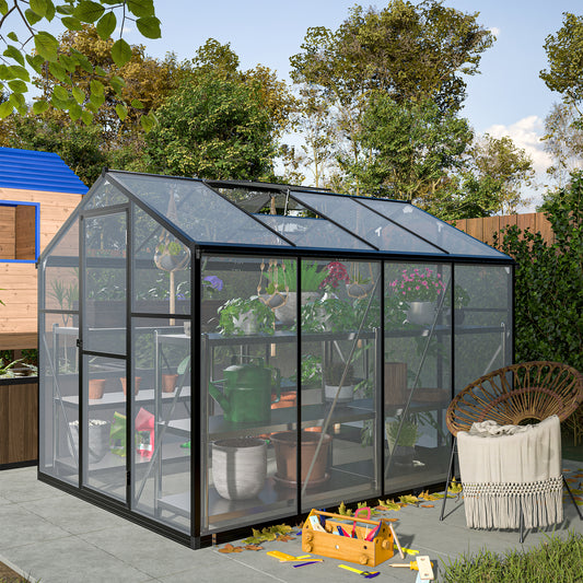 Spacious greenhouse with black frame and transparent panels filled with various plants on shelves