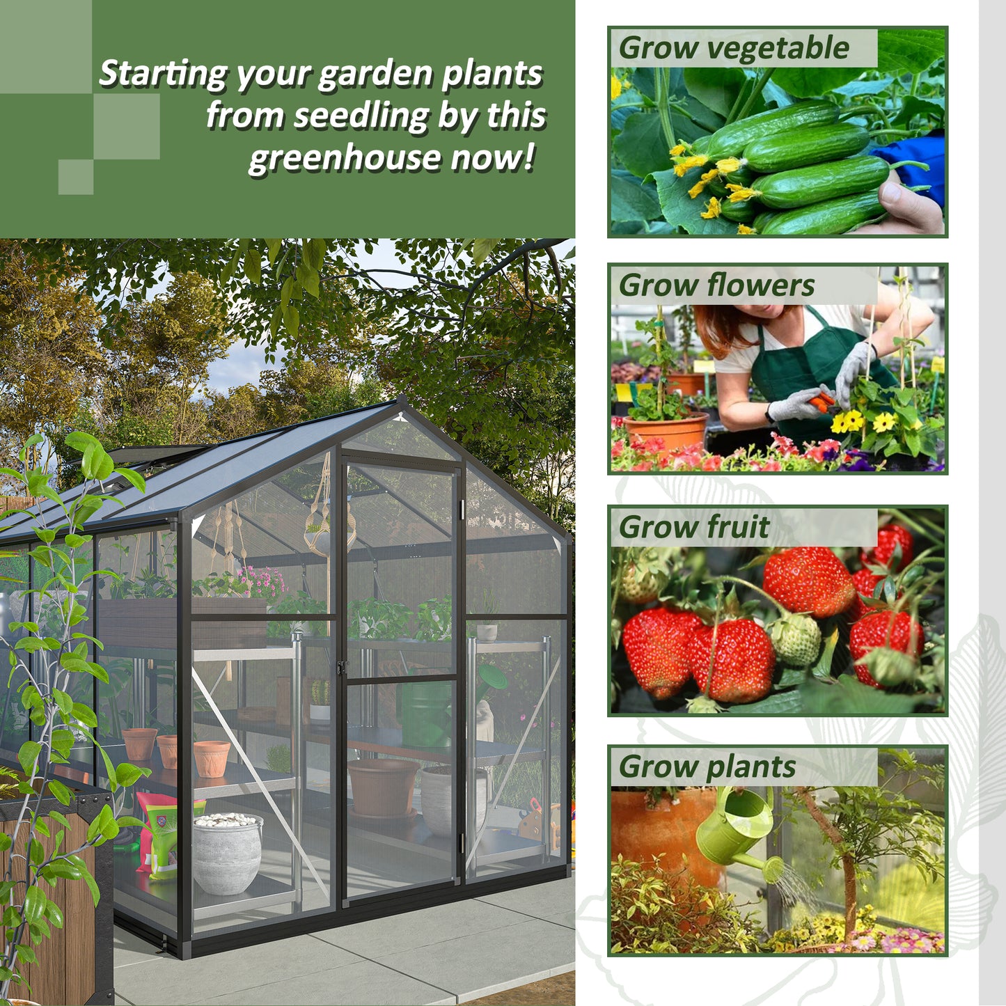 A modern grey aluminum greenhouse with clear polycarbonate panels showcasing rows of potted plants and shelving inside