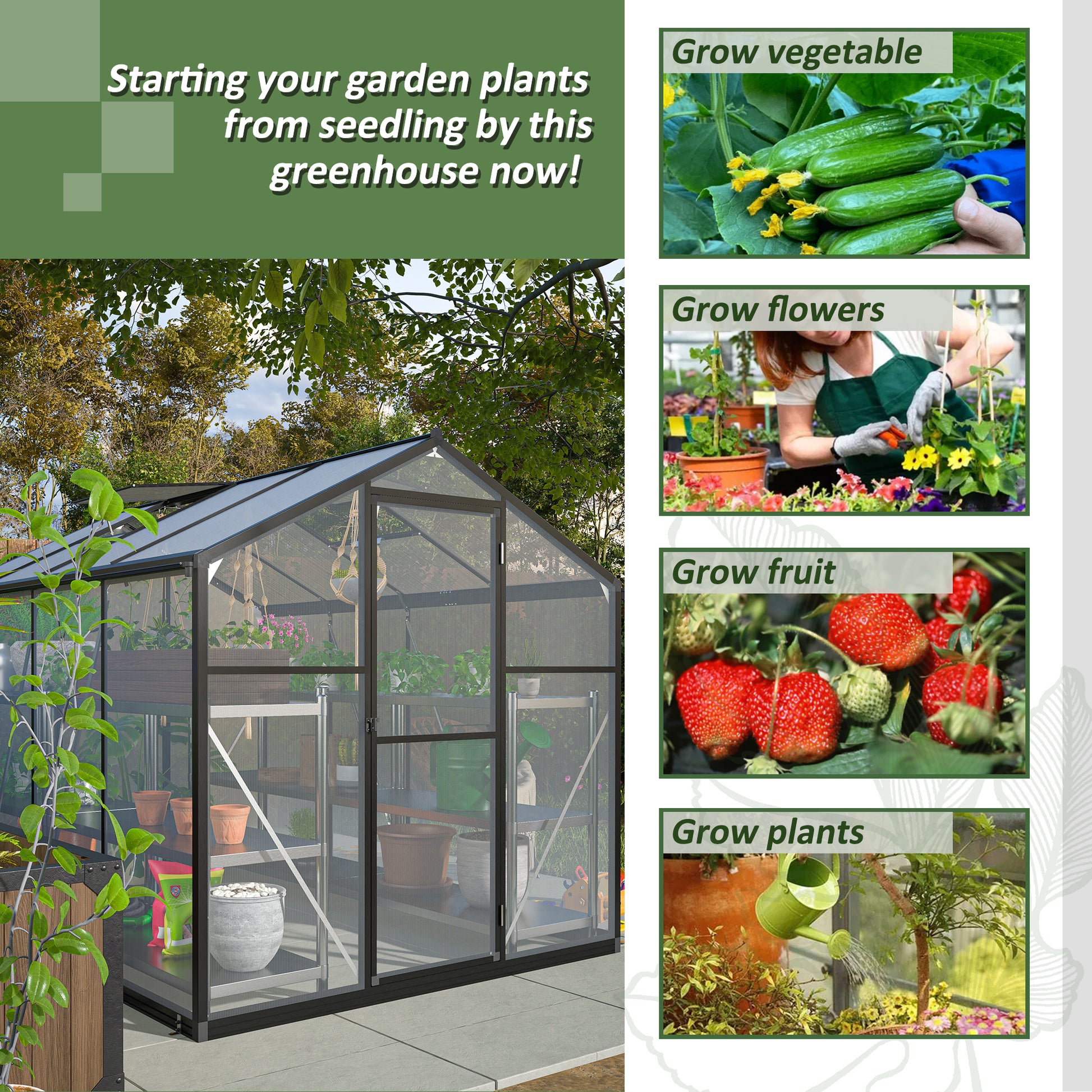 A modern grey aluminum greenhouse with clear polycarbonate panels showcasing rows of potted plants and shelving inside