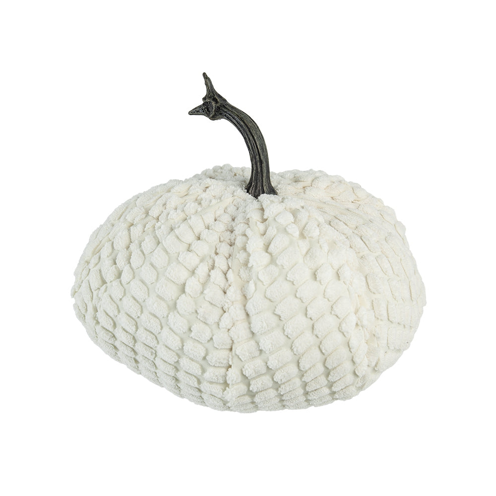 Cream textured pumpkin with a dark stem perfect for autumn decor