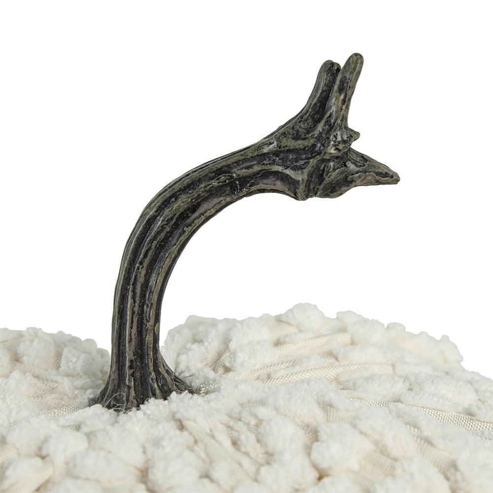Textured cream pumpkin with realistic dark brown stem detail