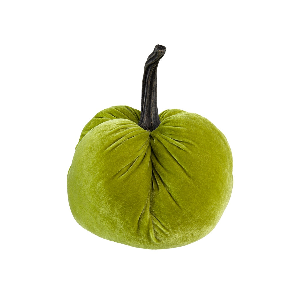 Green velvet pumpkin with a dark twisted stem perfect for autumn decor