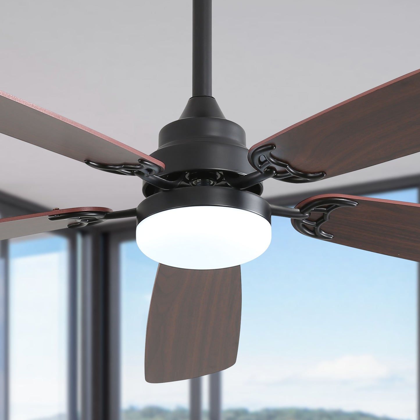 Modern black ceiling fan with five dark wood blades and integrated LED light
