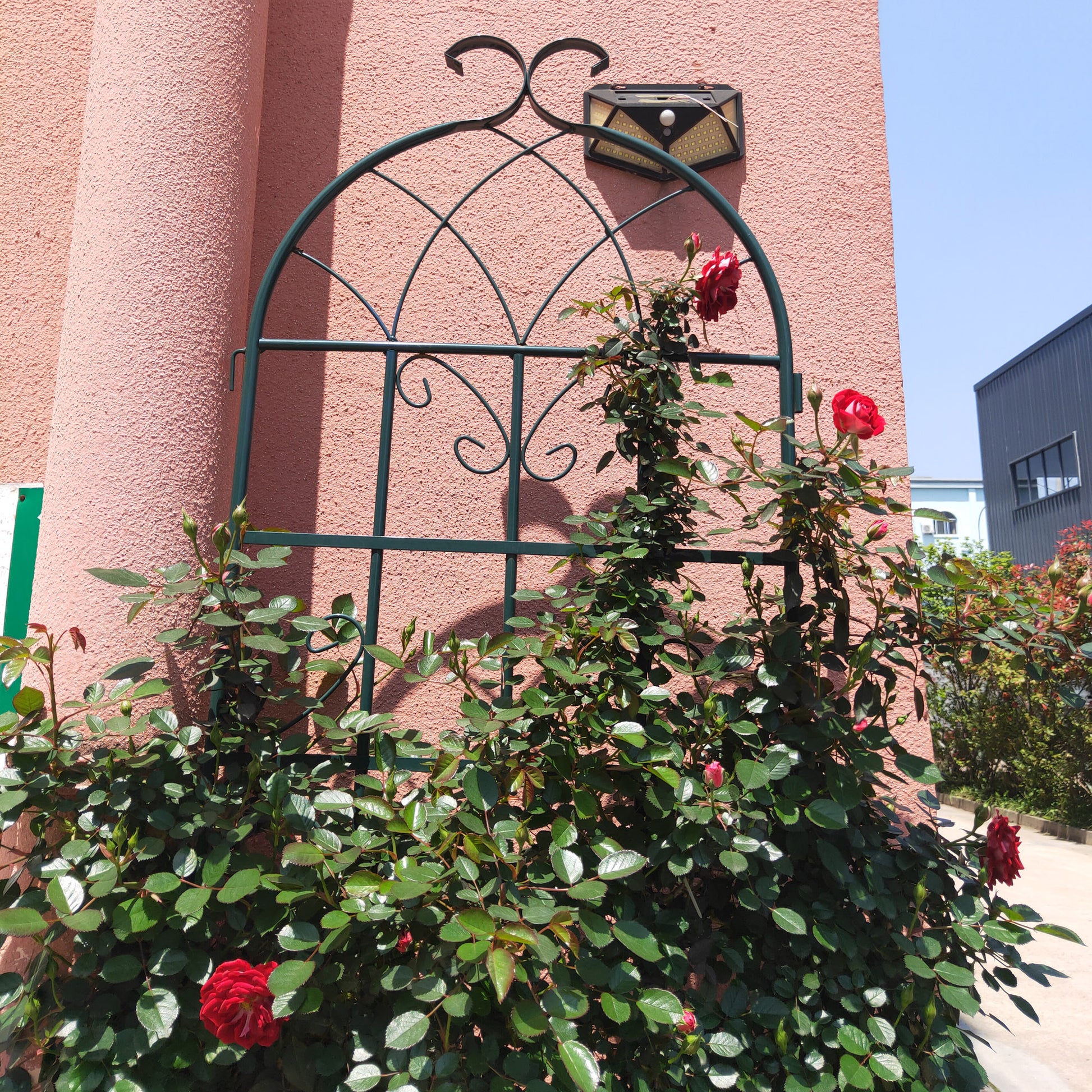 Dark green metal rose trellis with decorative scrollwork supporting a climbing rose bush with red blooms