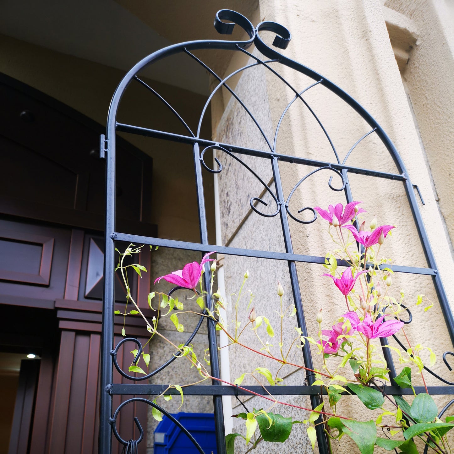 Black wrought iron garden arch trellis with climbing pink clematis flowers