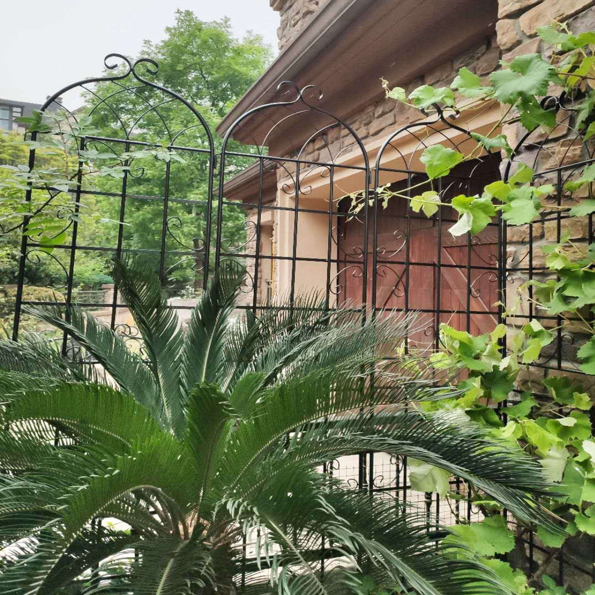 Ornate black metal garden trellis with scrolling vine details  tall