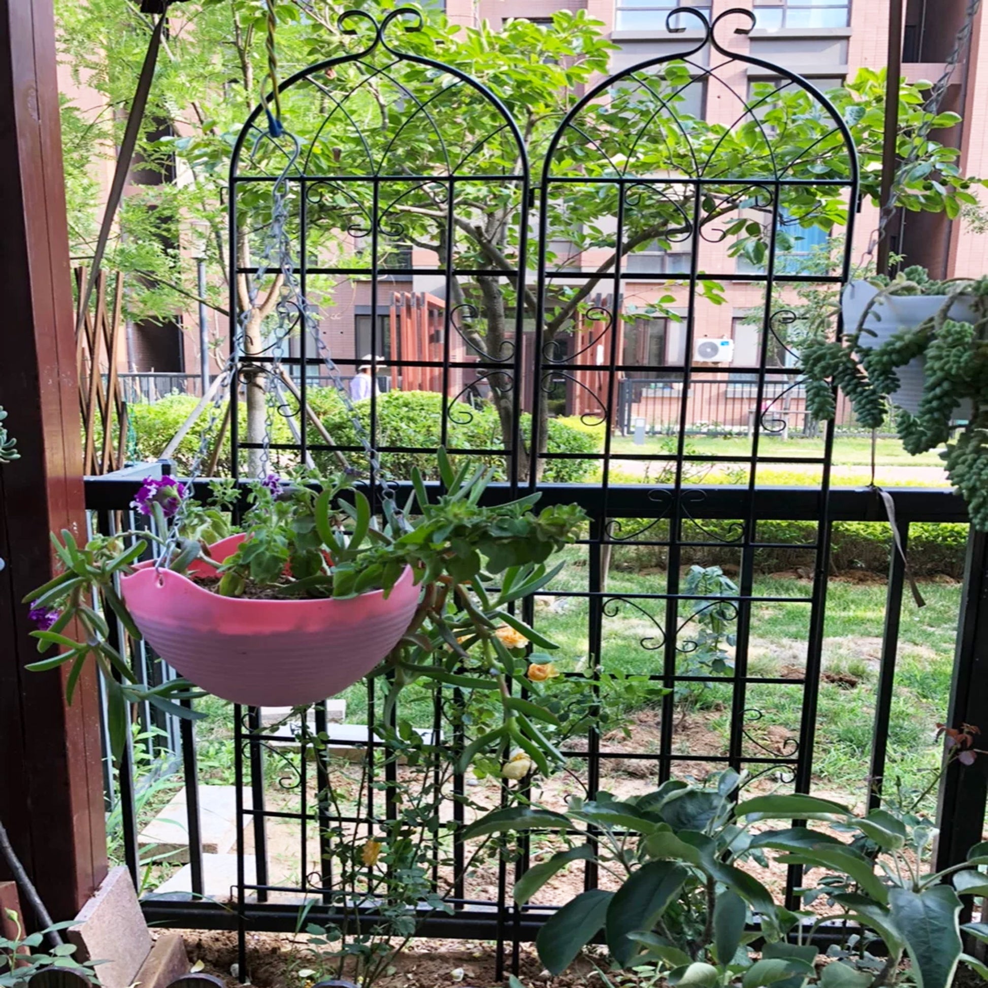 Black wrought iron trellis with ornate scroll details perfect for climbing plants and garden decor