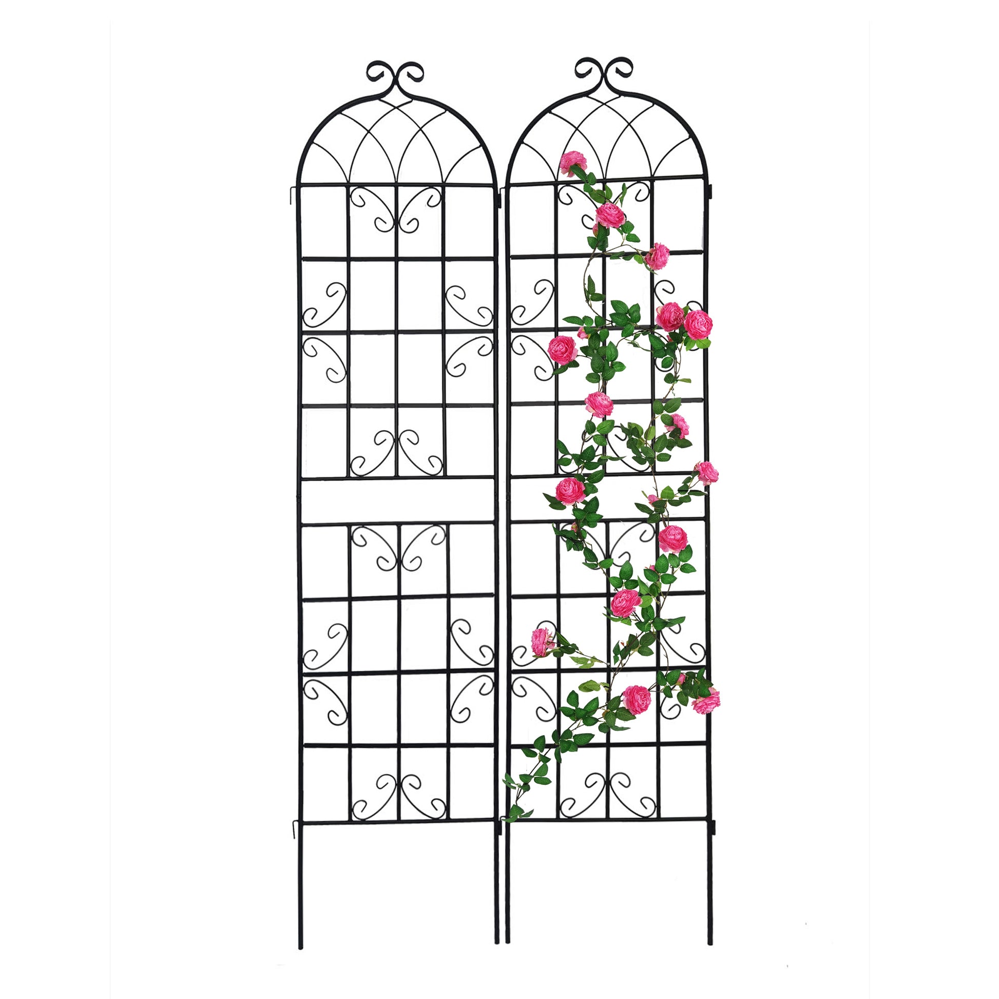 Black metal garden trellis with decorative scrolls and pink roses