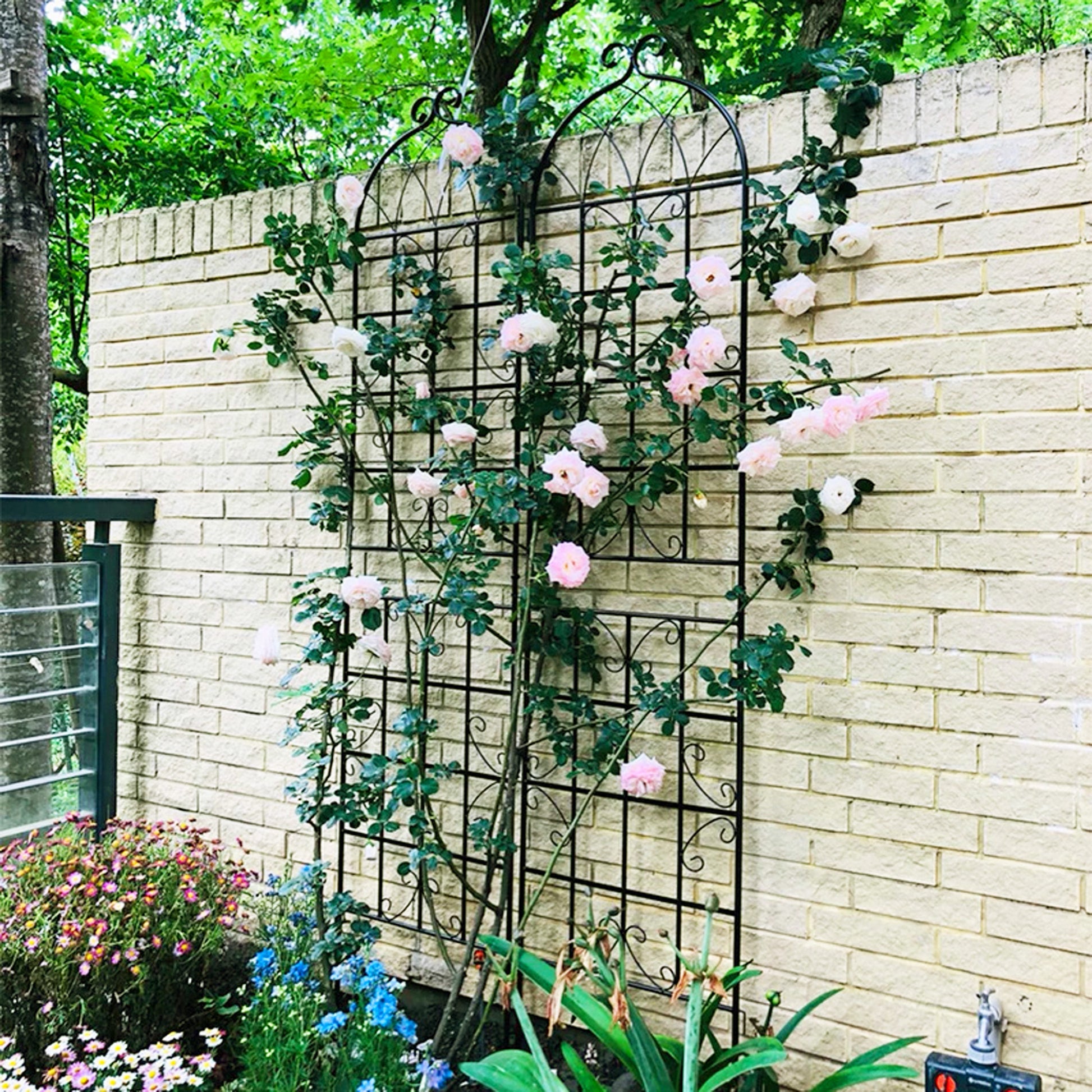 Black wrought iron garden trellis with climbing pink and white roses
