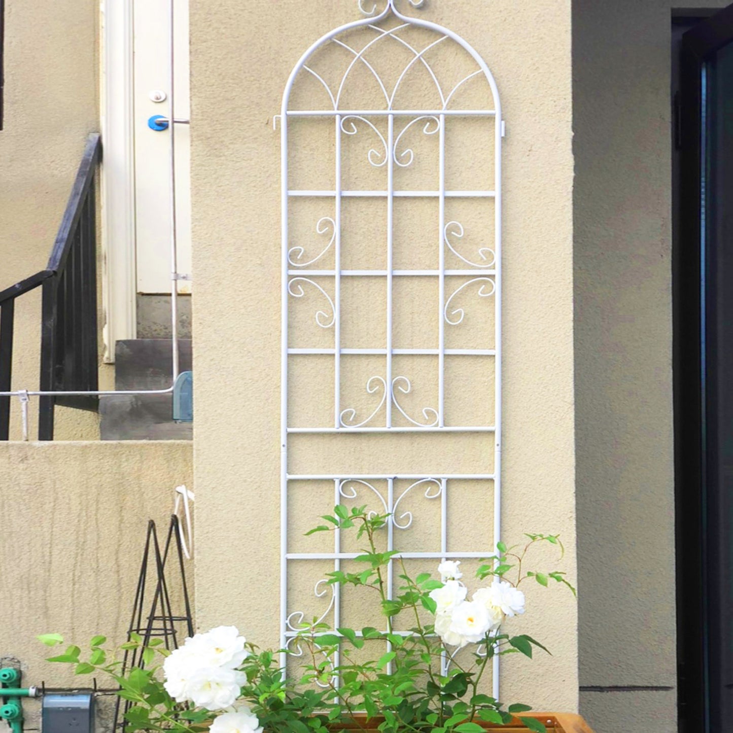 White arched metal garden trellis with scrolling vine details for climbing plants