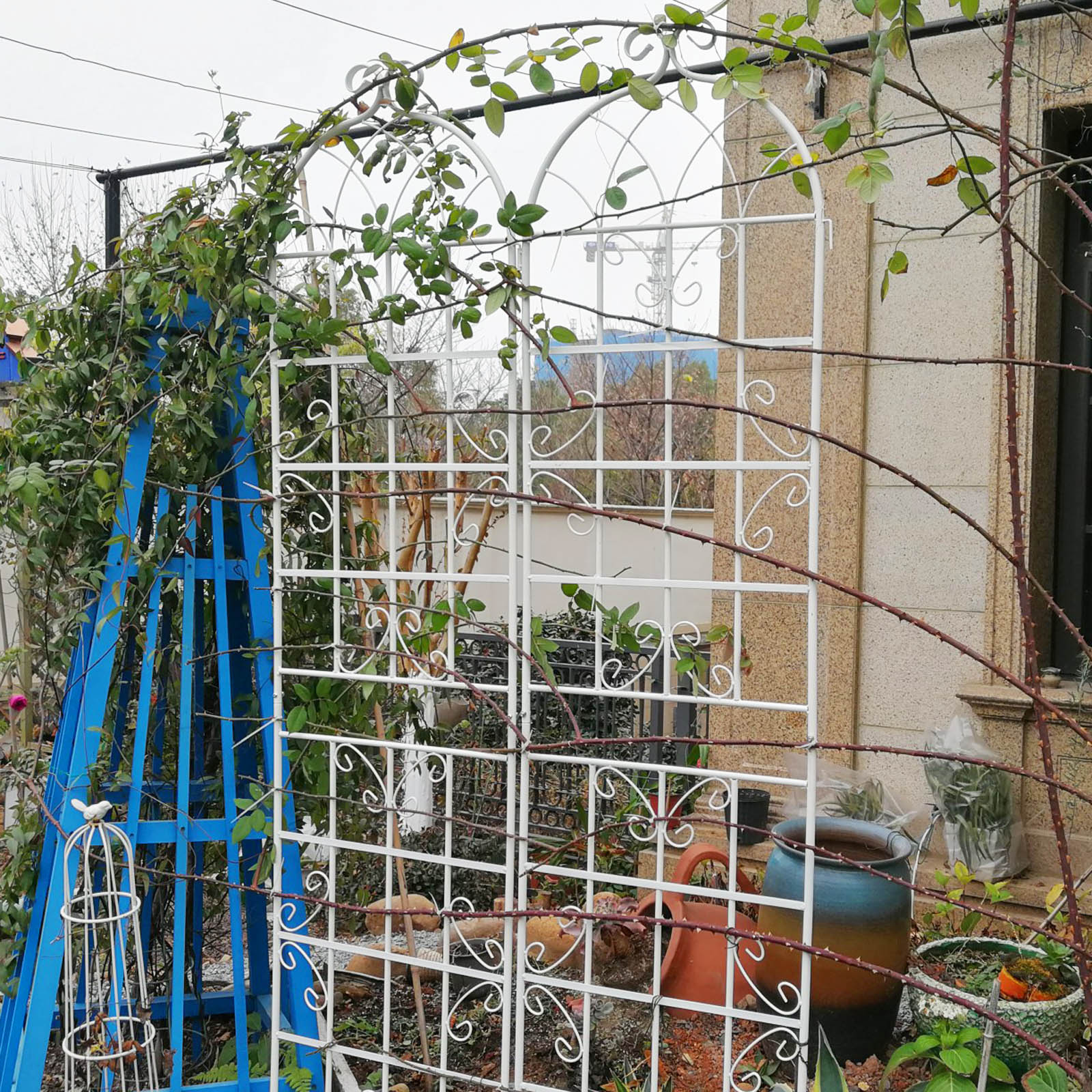 White metal garden trellis with decorative scrollwork ideal for climbing plants
