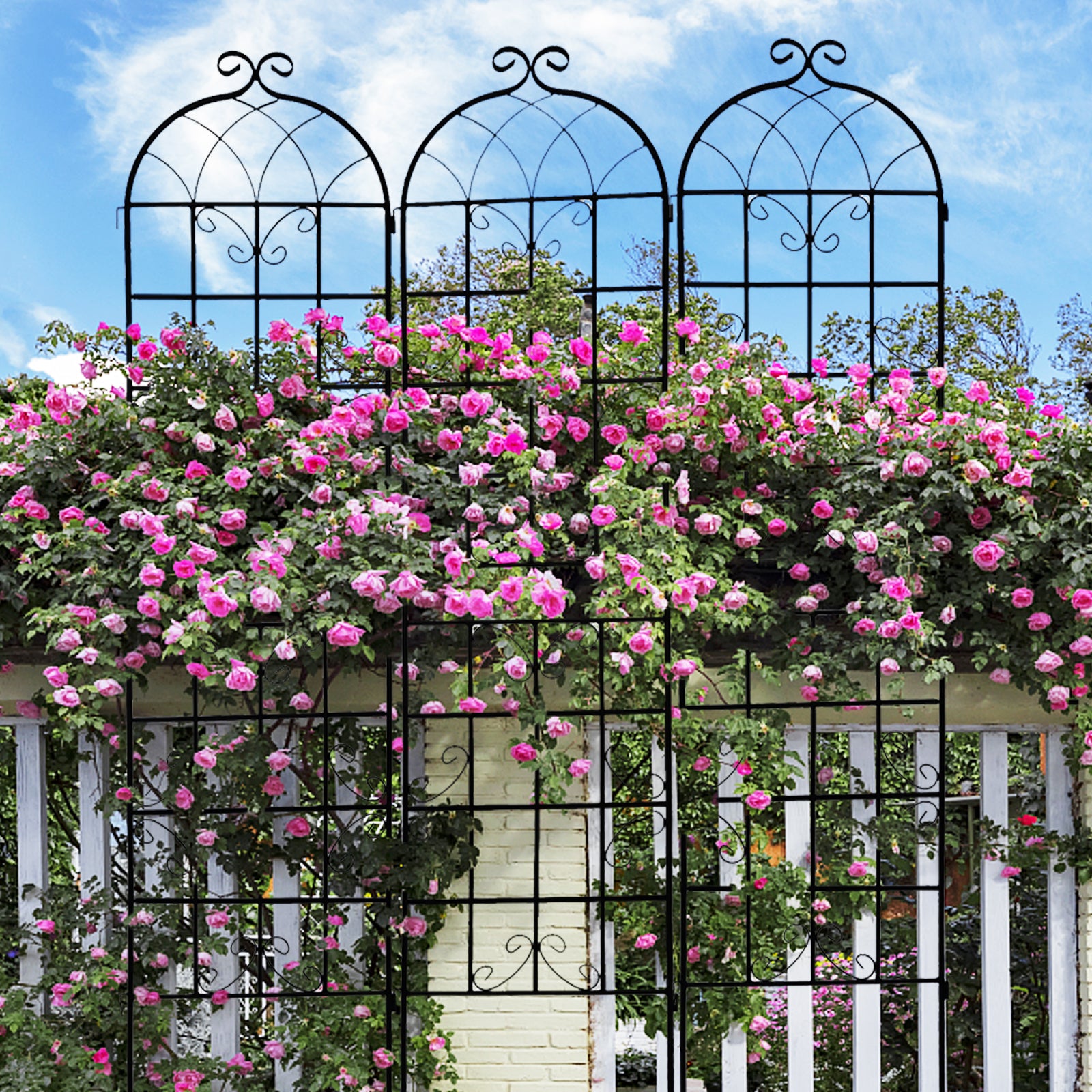Black metal garden trellis with scrolling accents supporting abundant pink roses
