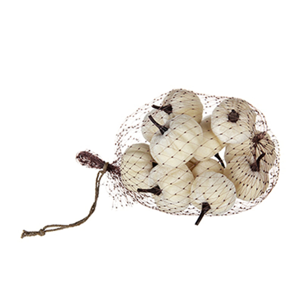 Bag of  cream mini pumpkins with black stems perfect for fall decor