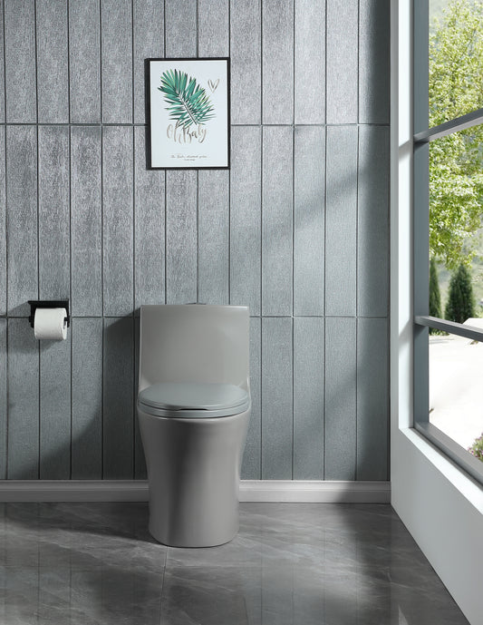 Modern grey onepiece toilet with concealed cistern and softclose seat