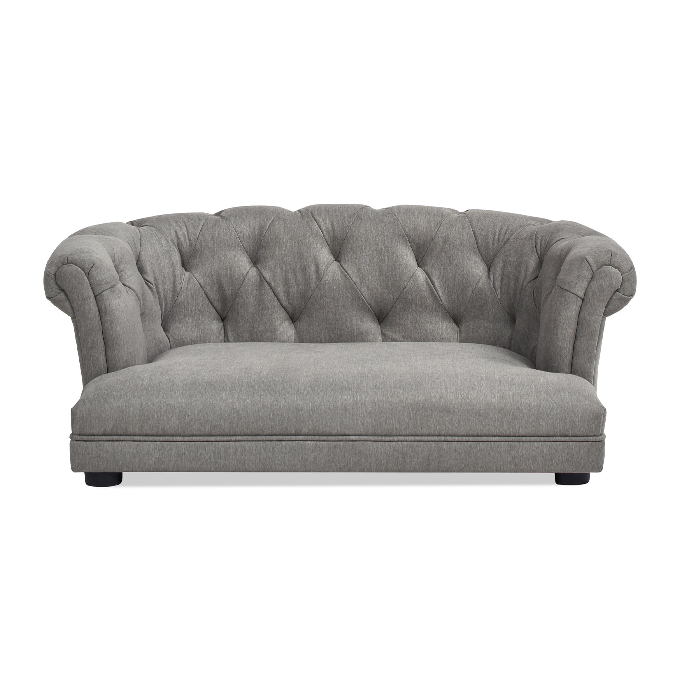 Gray tufted sofa with classic rolled arms and a white background