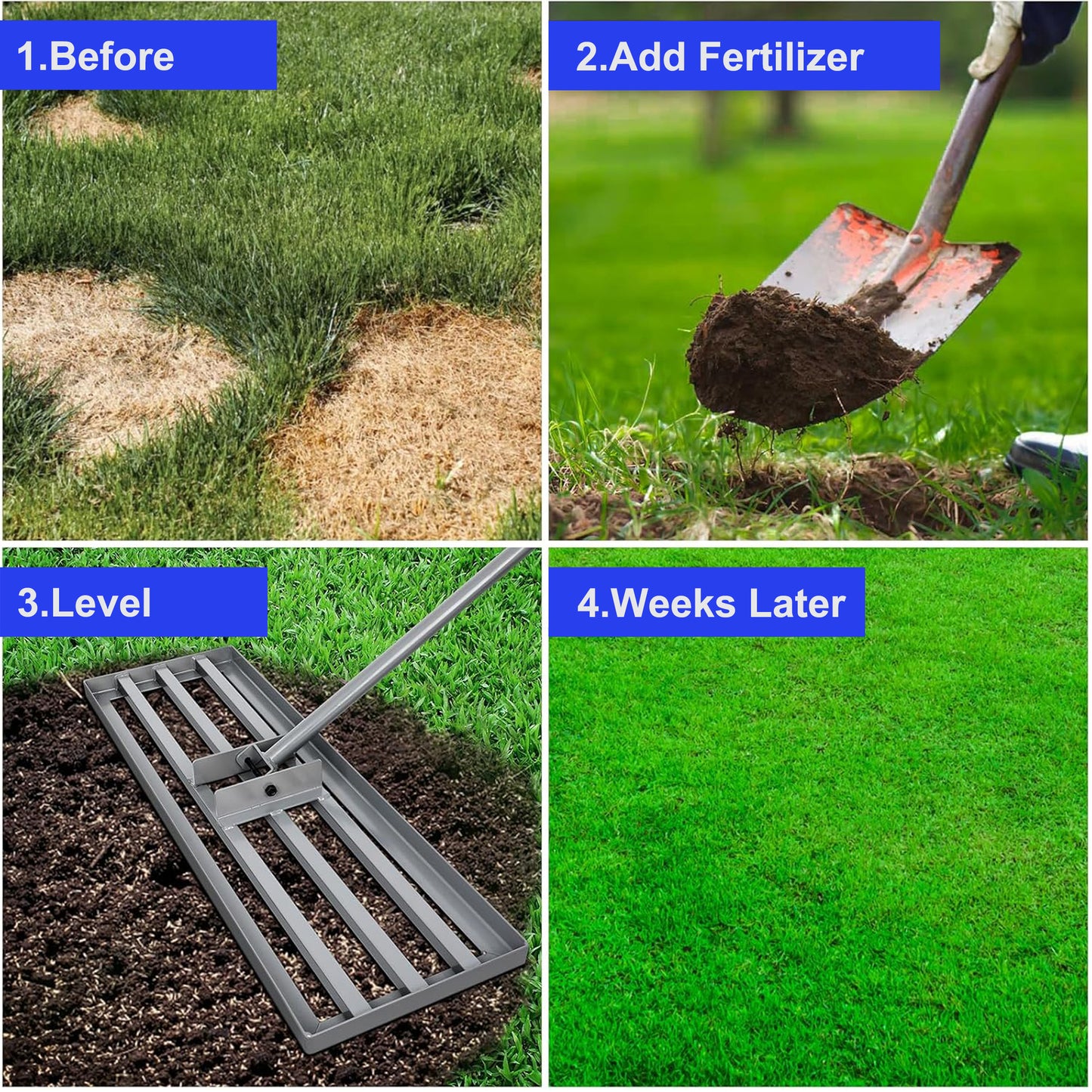 Patchy dry grass showing before lawn renovation