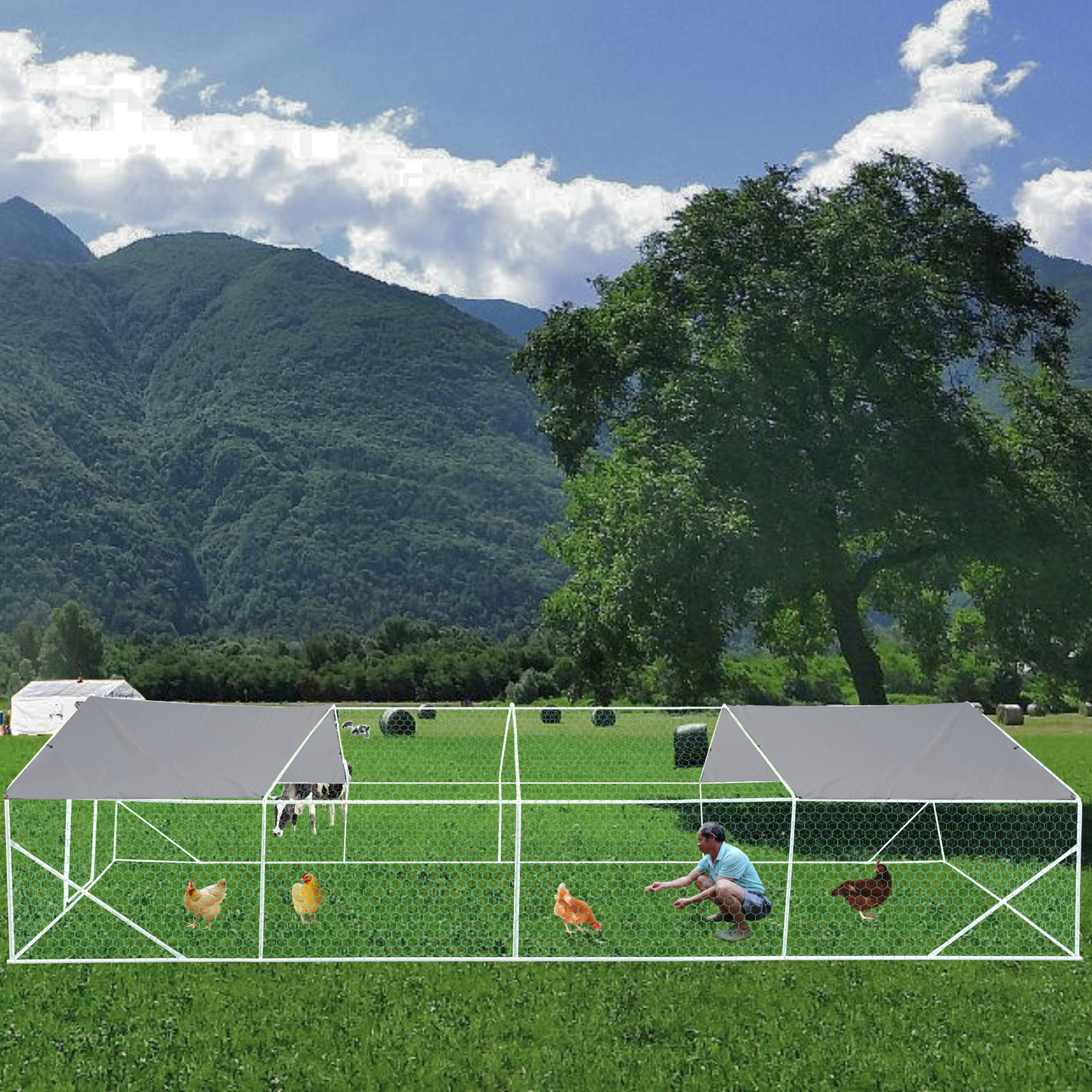 Spacious gray chicken coop with multiple compartments ideal for backyard poultry farming