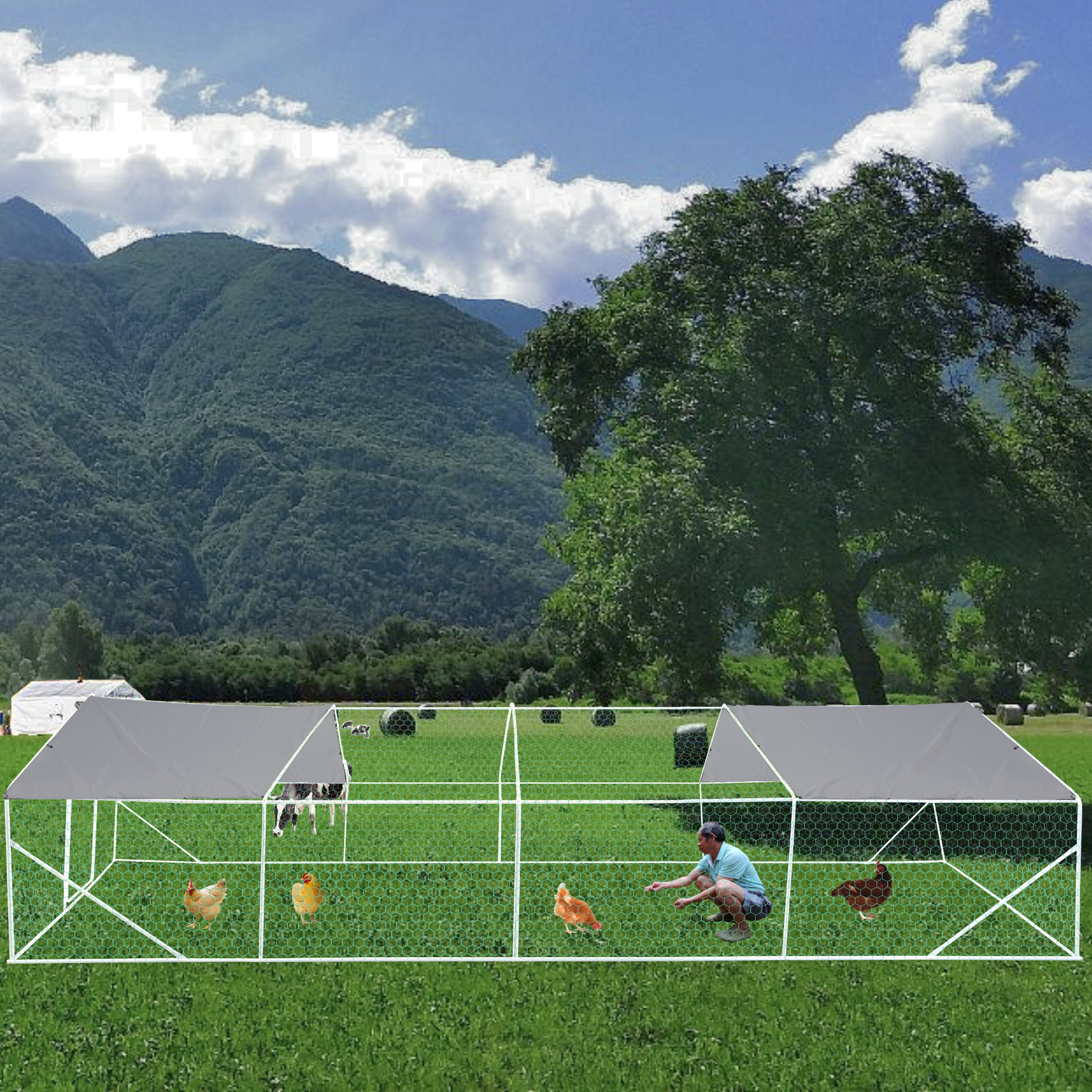 Spacious gray chicken coop with multiple compartments ideal for backyard poultry farming