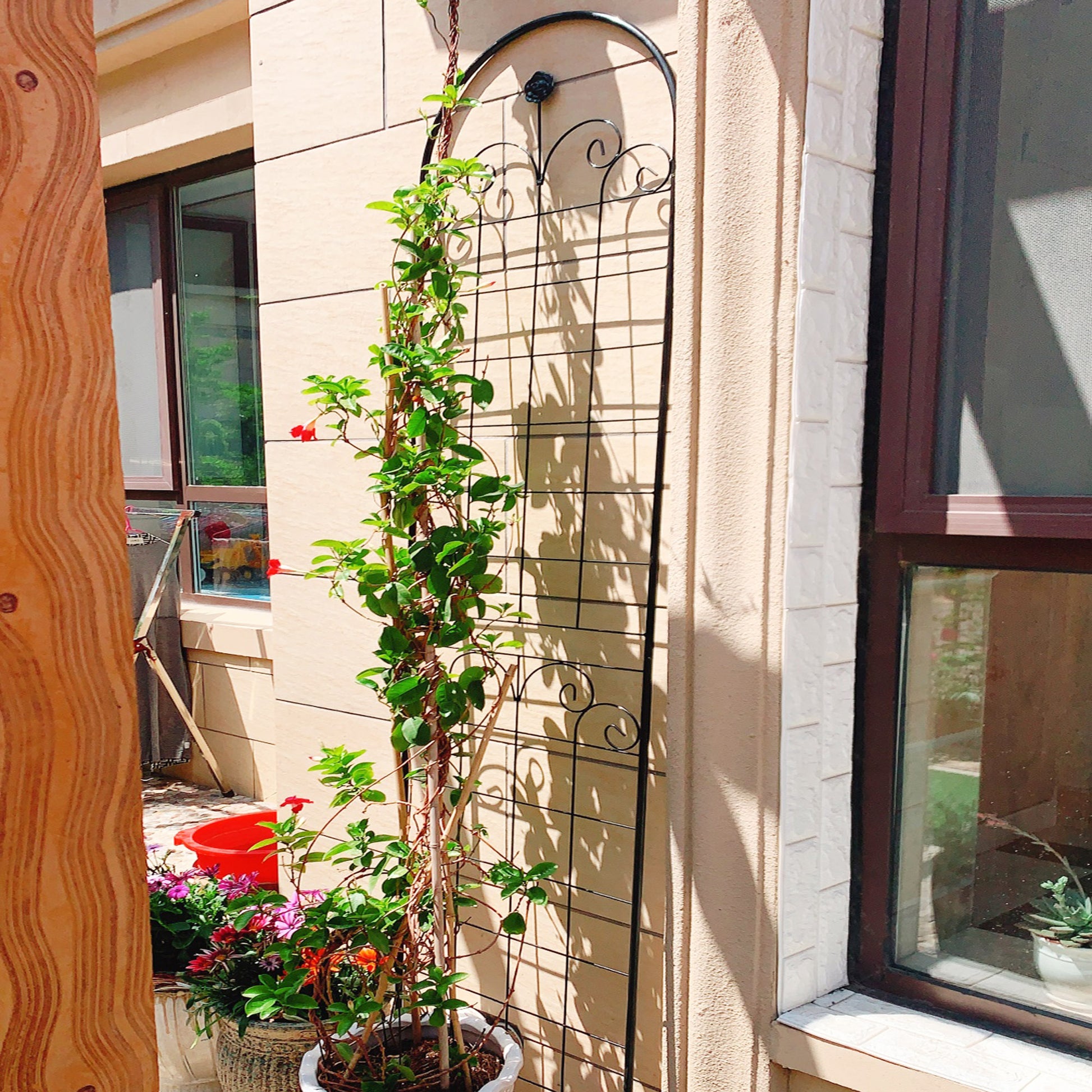 Black wrought iron garden trellis with decorative scrollwork for climbing plants