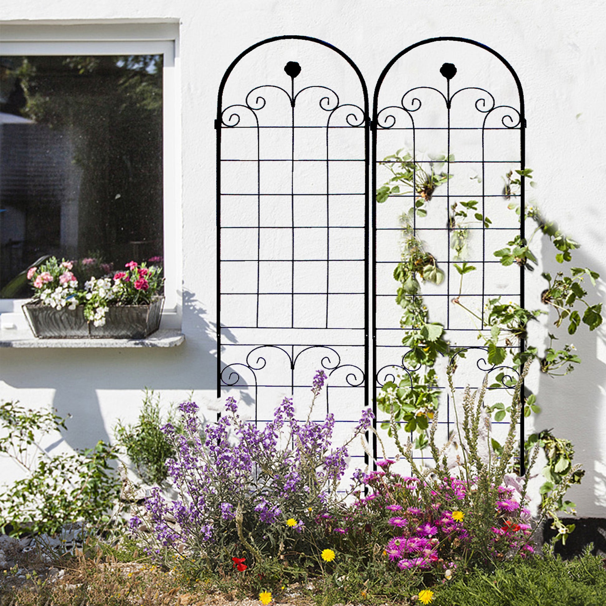 Ornate black metal garden trellis with climbing plants and flowers