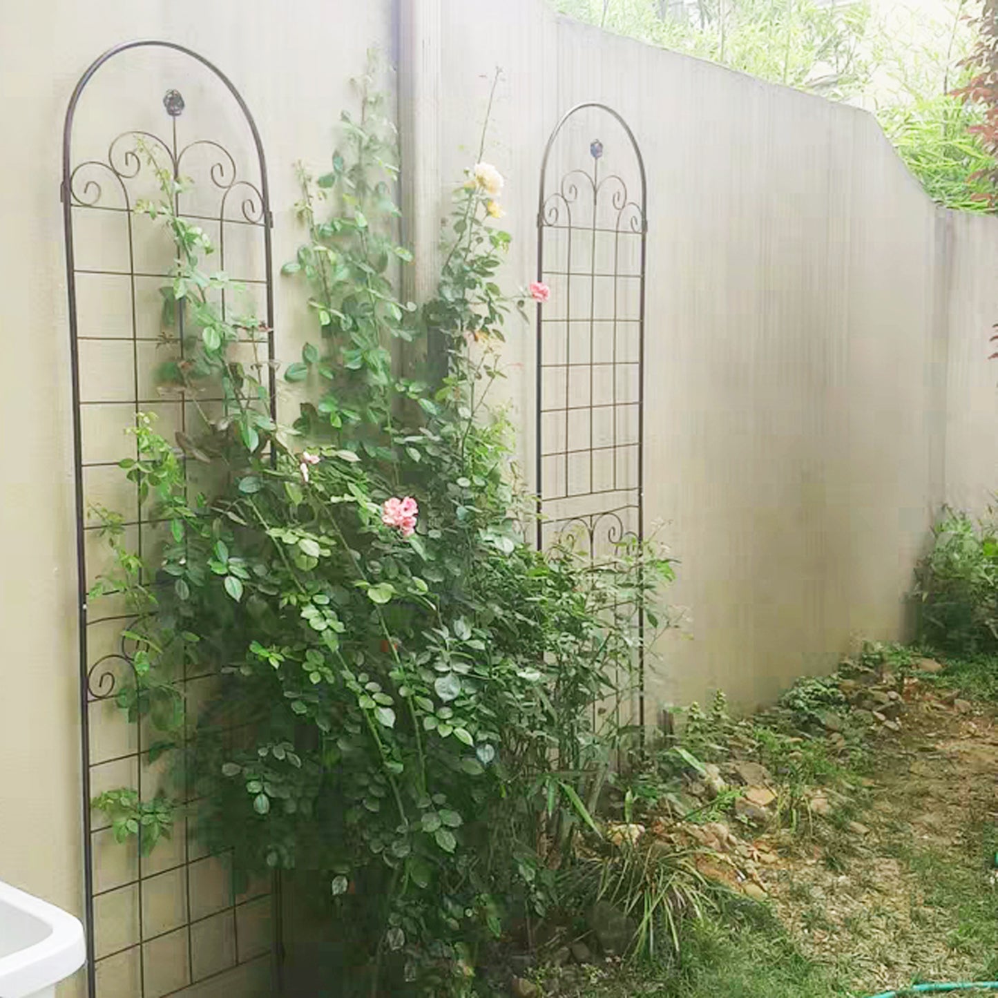 Black wrought iron garden trellis with scroll details perfect for climbing roses