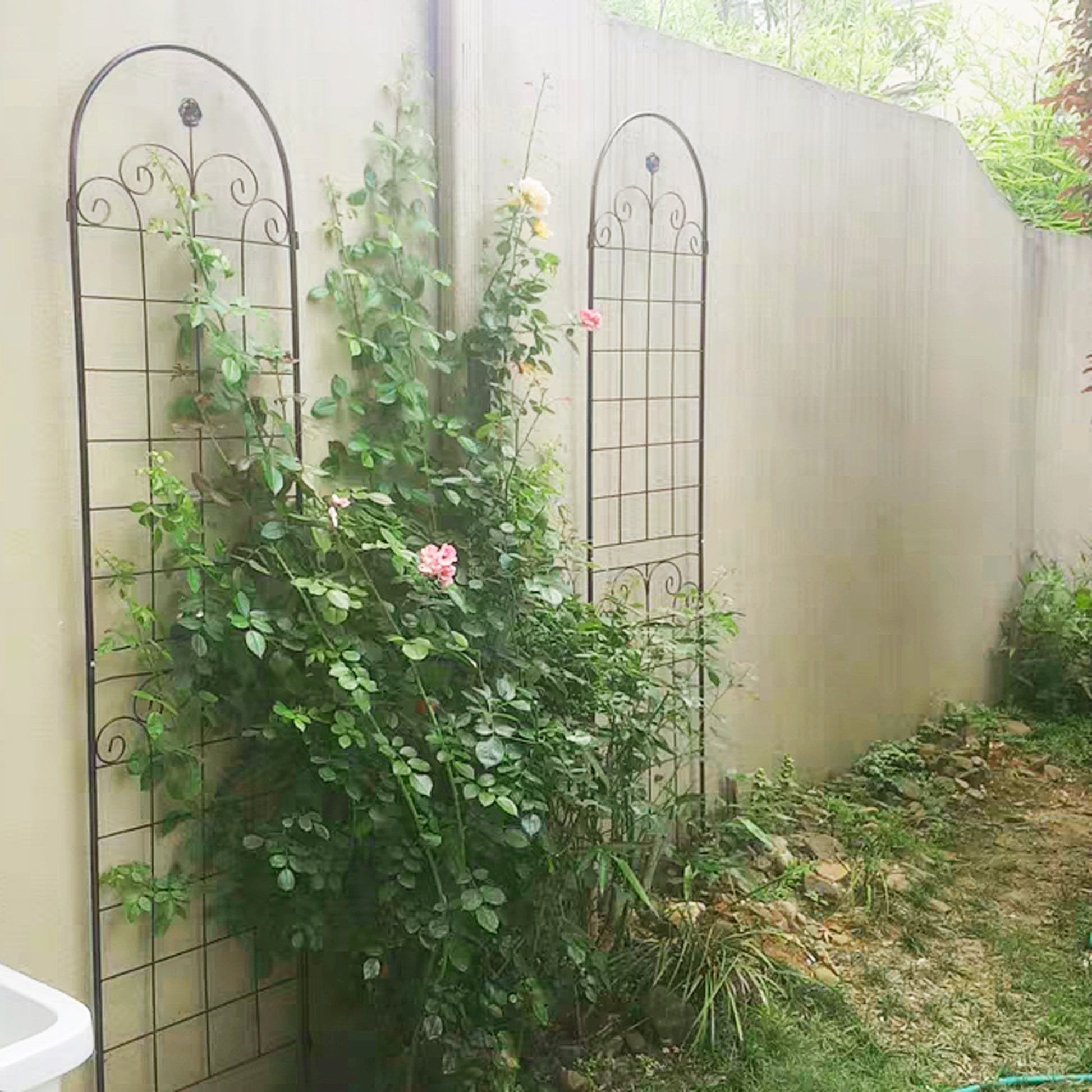 Black wrought iron garden trellis with scroll details perfect for climbing roses