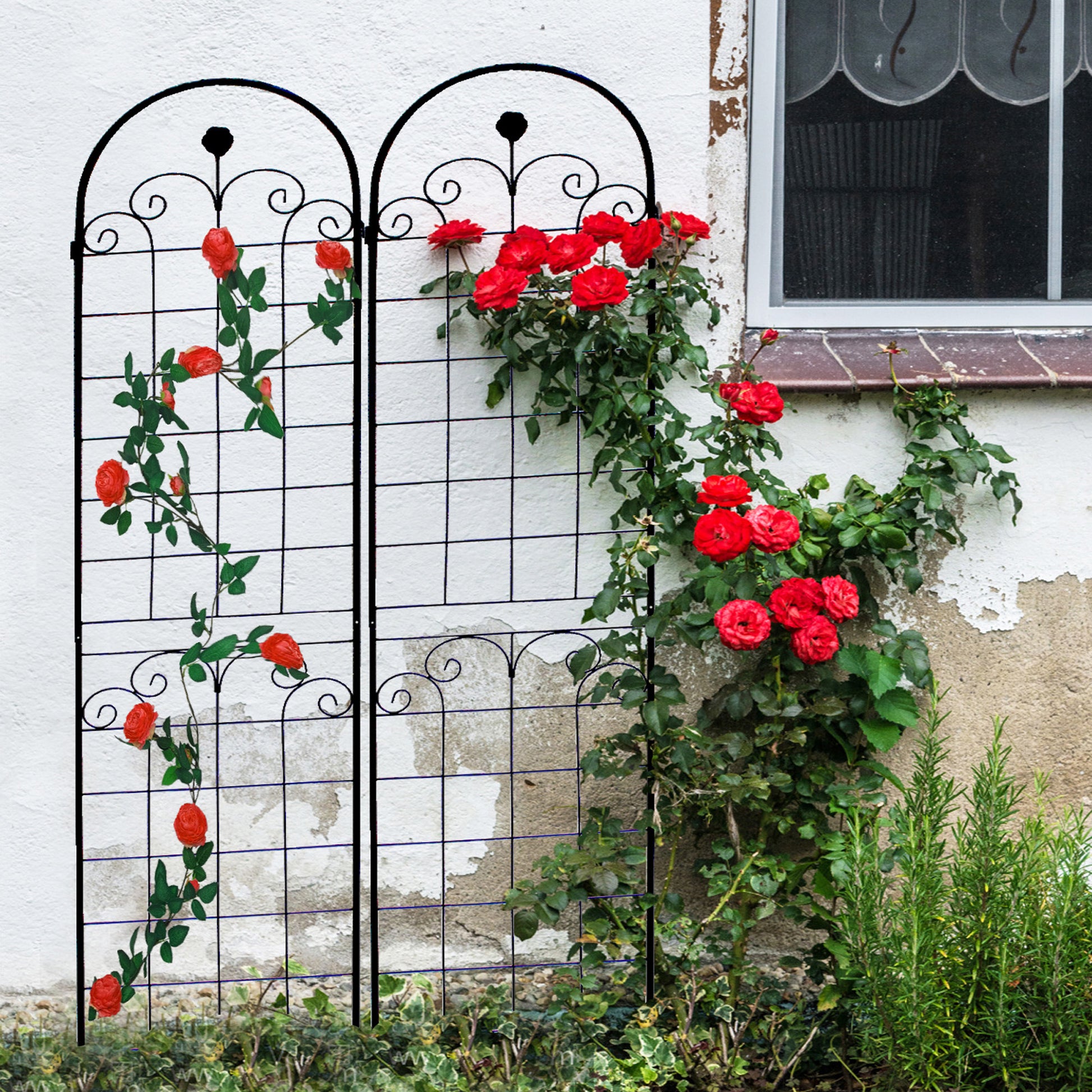 Black metal garden trellis supporting climbing red roses and ivy