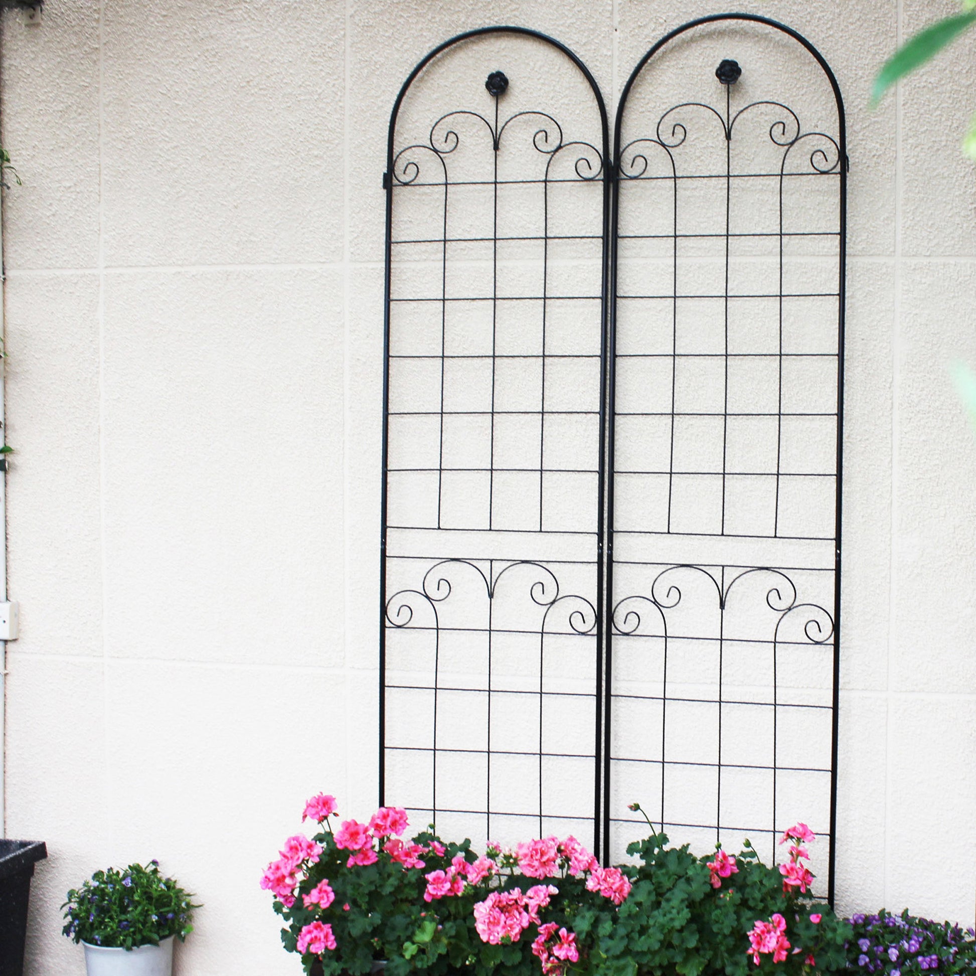 Black ornate metal garden trellis with climbing flower vines