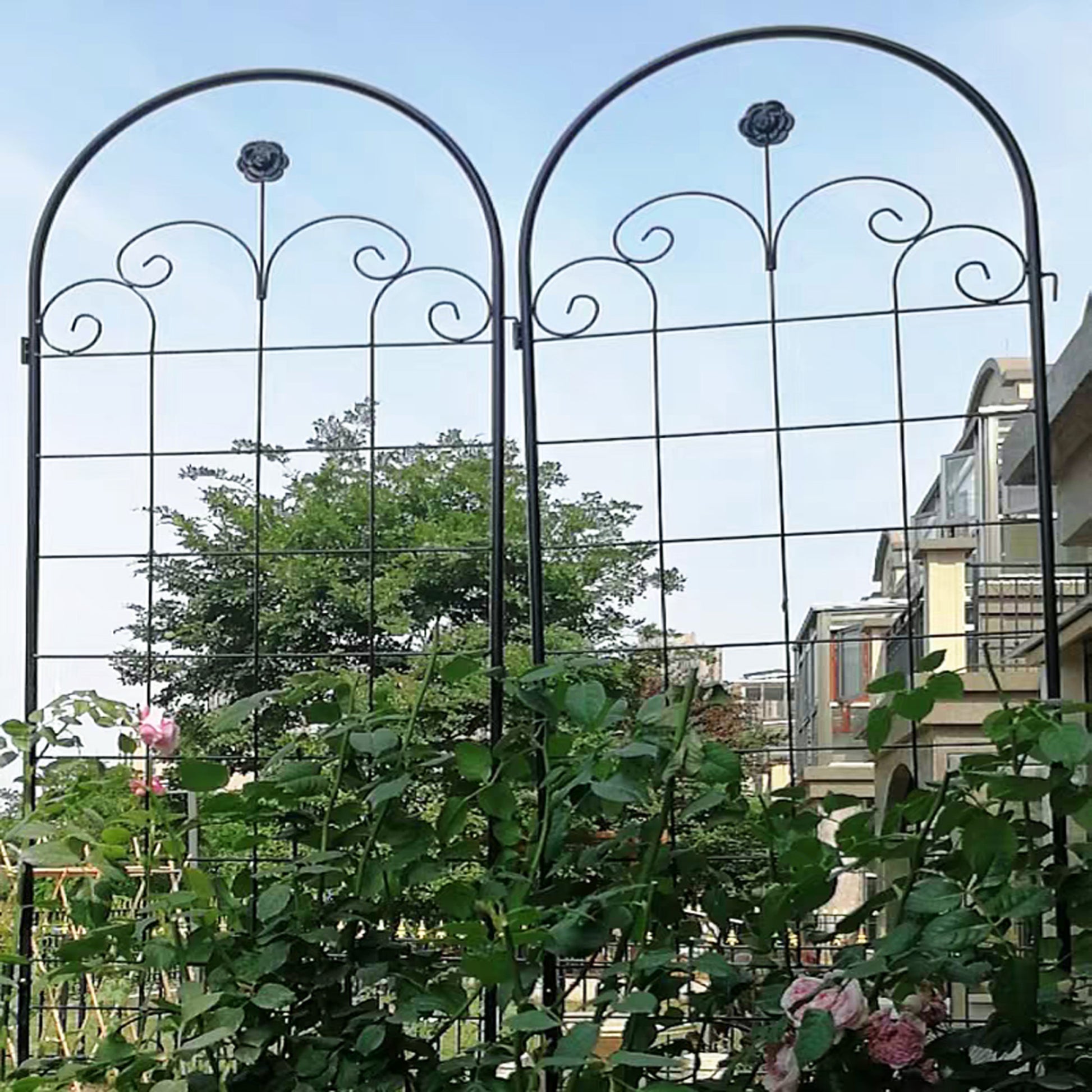 Black wrought iron garden trellis with rose scroll details for climbing plants