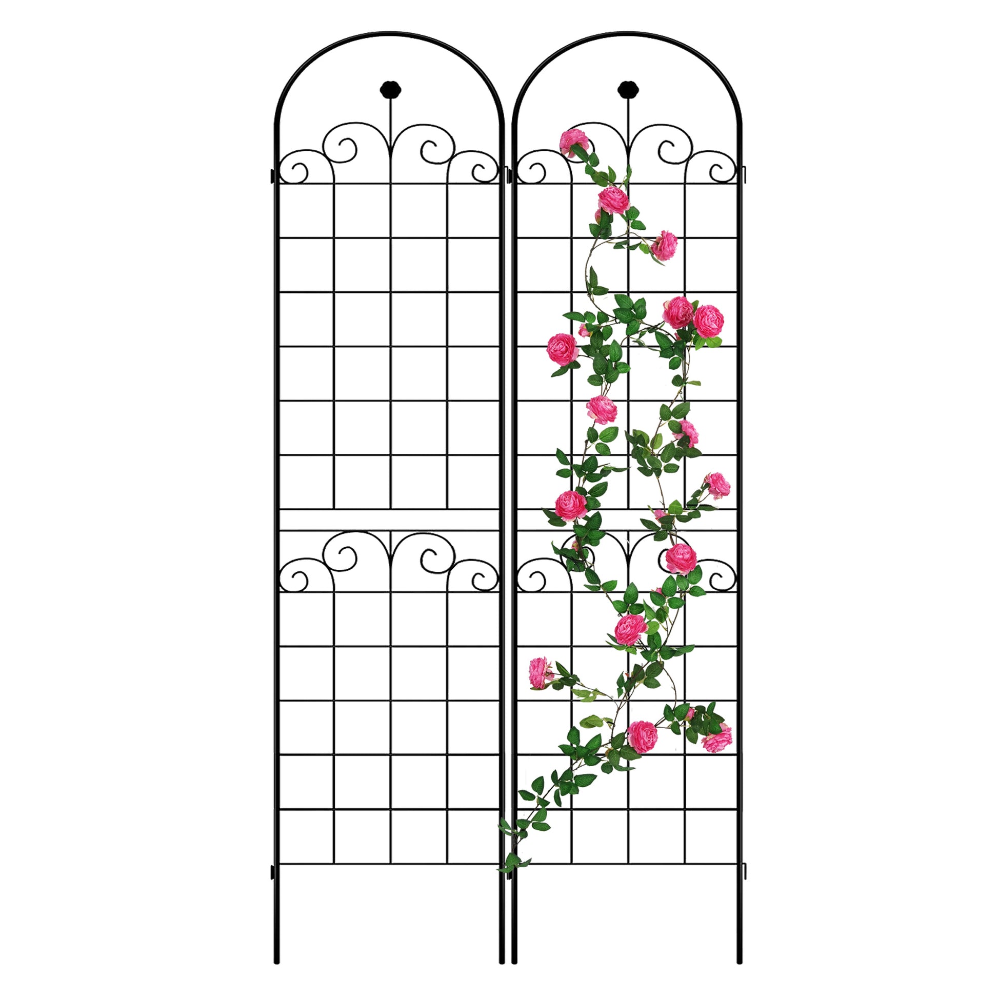 Black metal garden trellis with pink roses climbing its frame