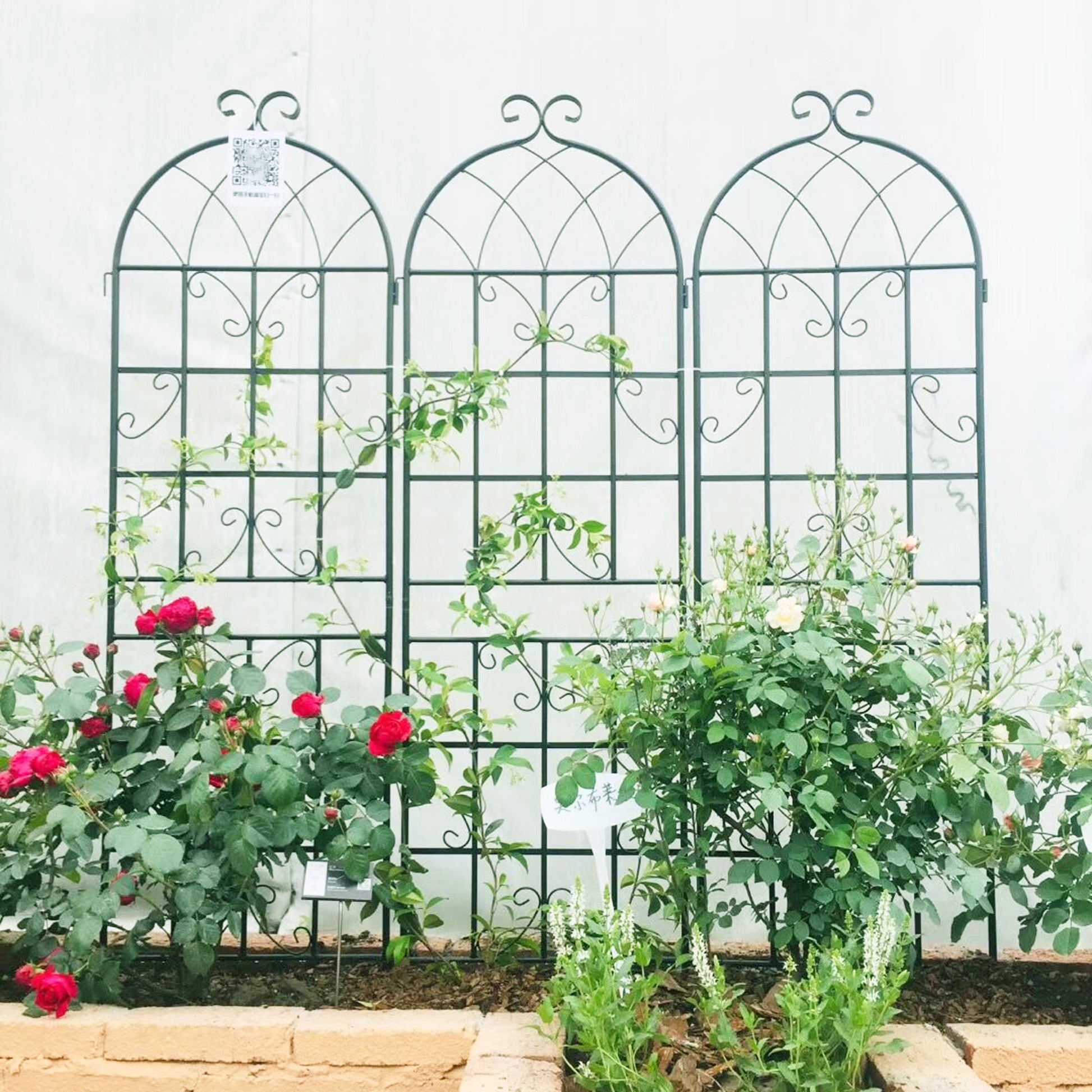 Tall arched black metal trellis featuring climbing roses with vibrant red blooms