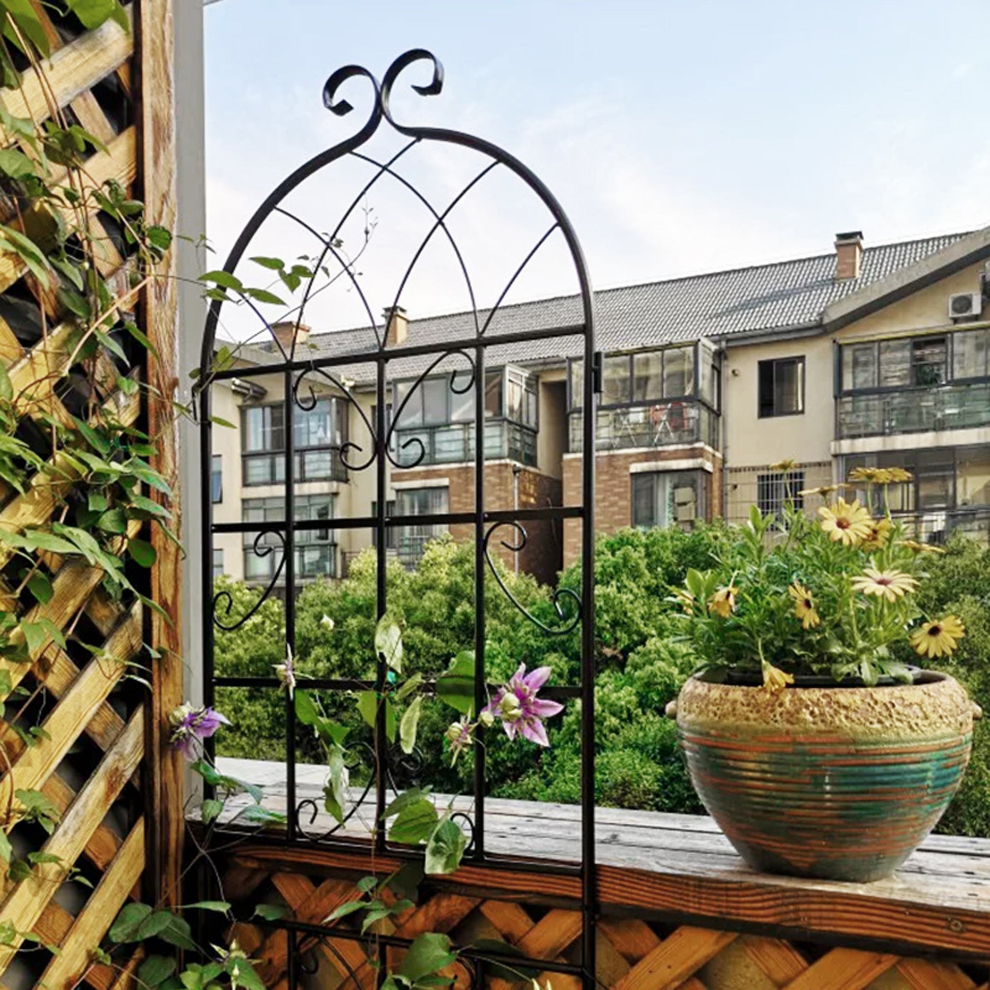 Black wrought iron arch trellis with ornate scrollwork for climbing plants