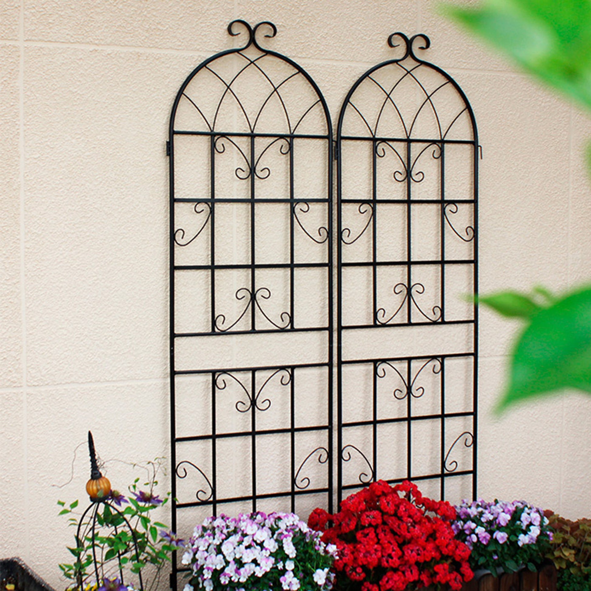 Decorative wrought iron garden trellis with arched top for climbing plants