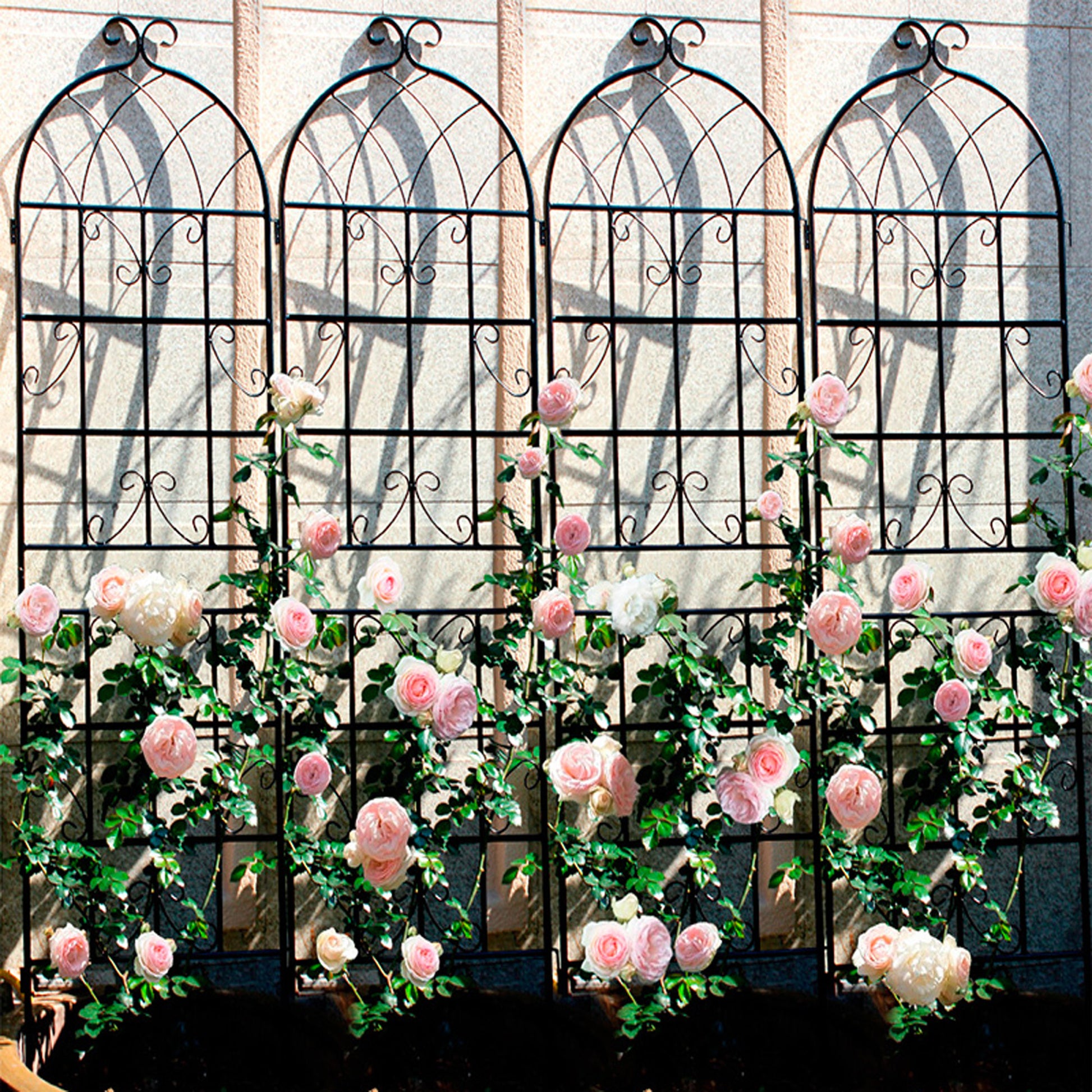 Four black wrought iron garden trellis panels with climbing pink roses