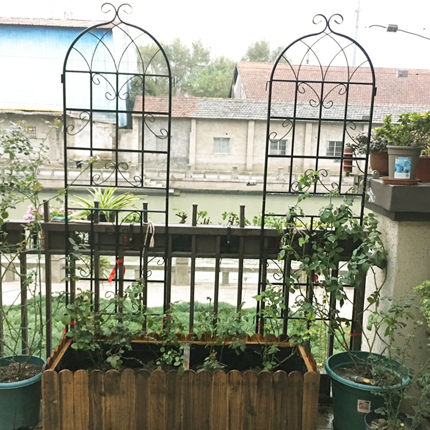 Black metal garden trellis with ornate scrollwork perfect for climbing plants