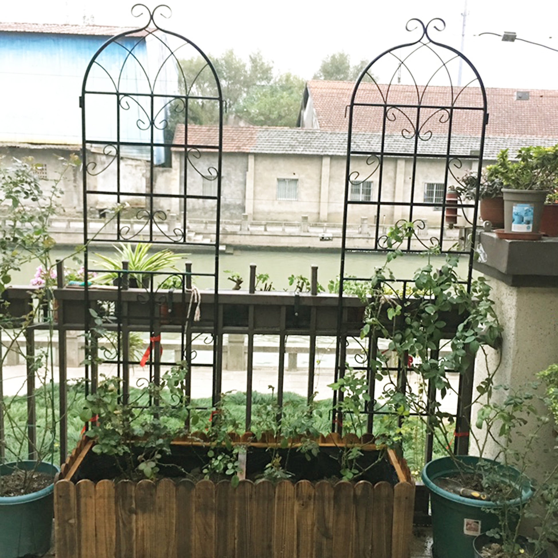 Black metal garden trellis with ornate scrollwork perfect for climbing plants