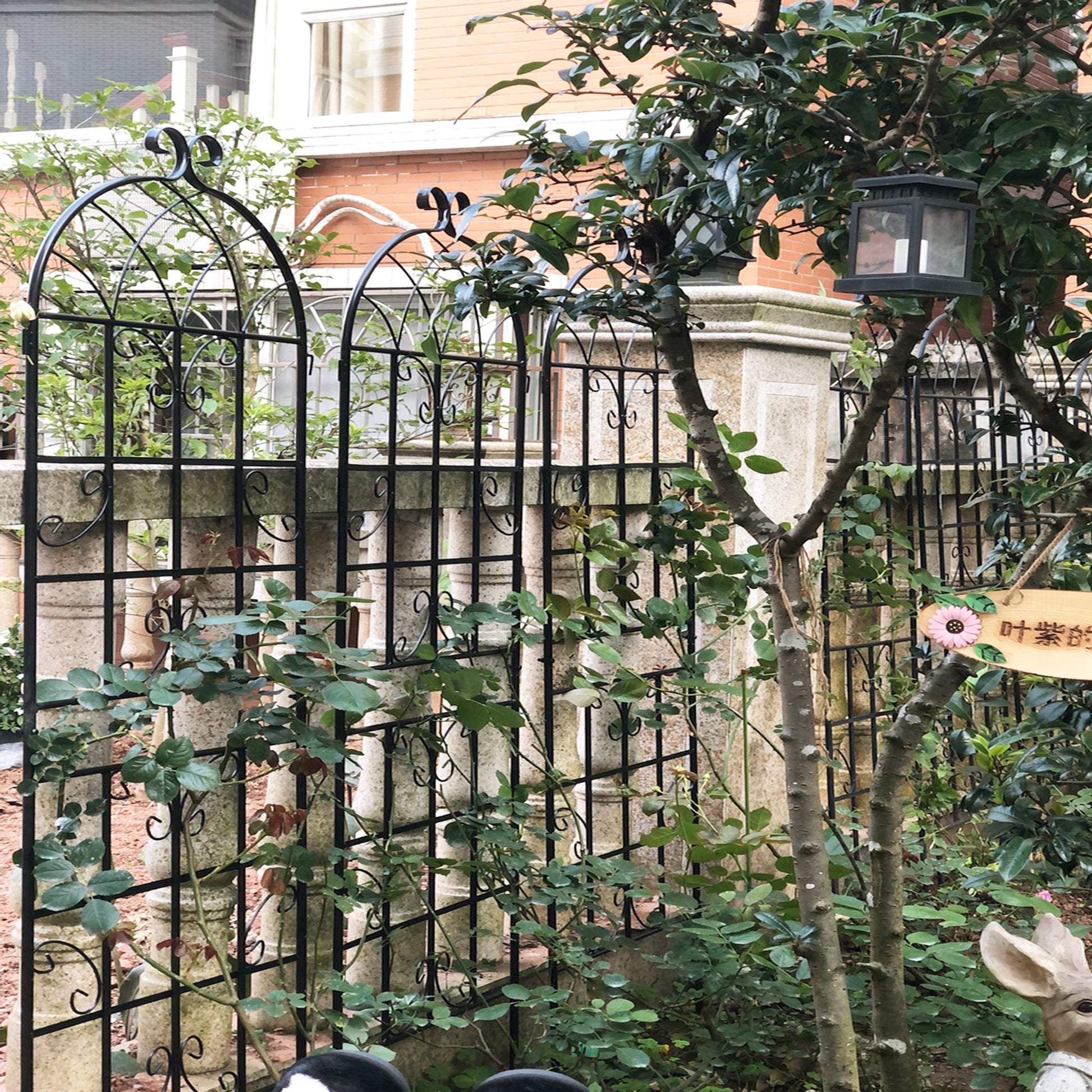 Black wrought iron garden trellis with decorative scrollwork perfect for climbing roses