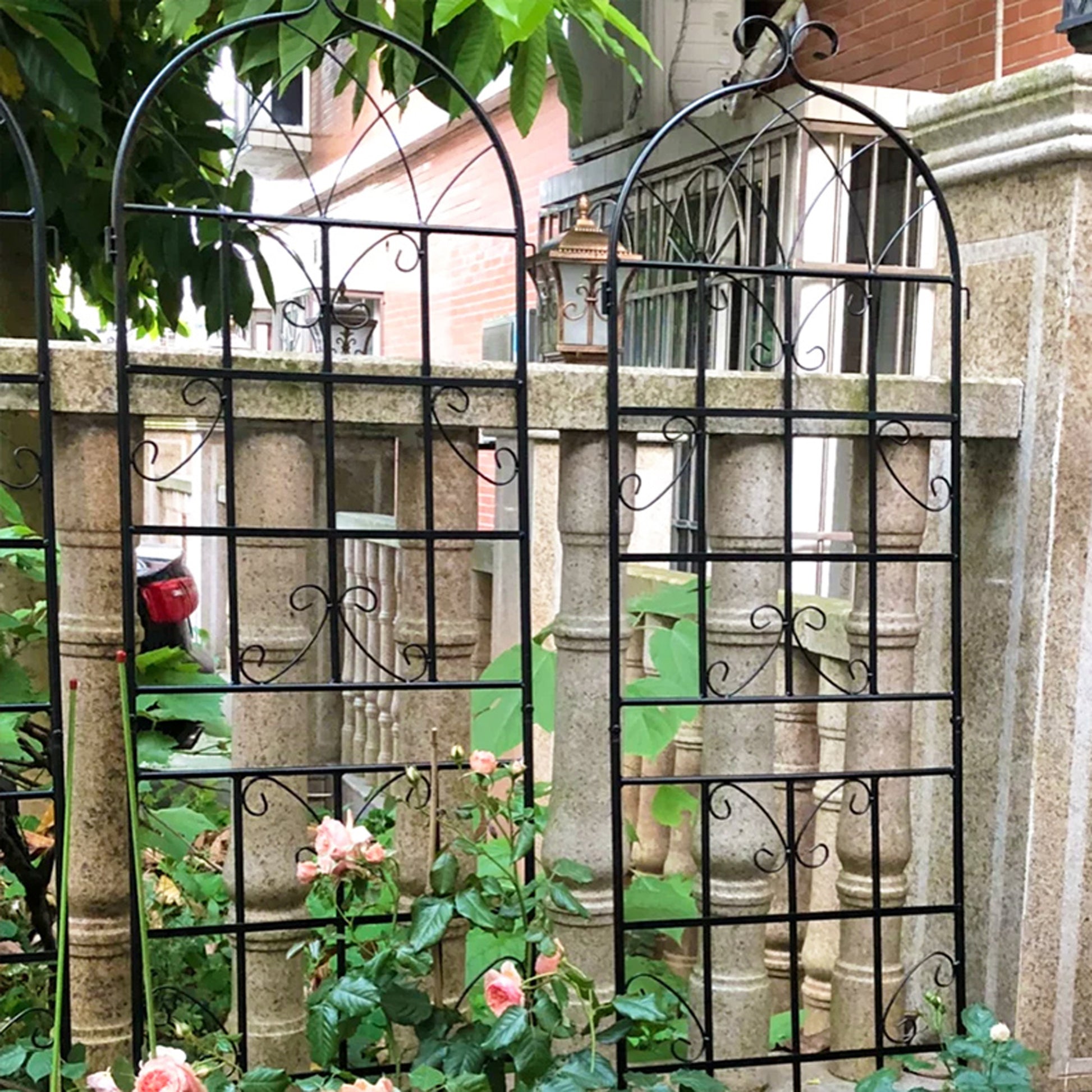 Ornate black metal garden trellis with scroll accents perfect for climbing roses