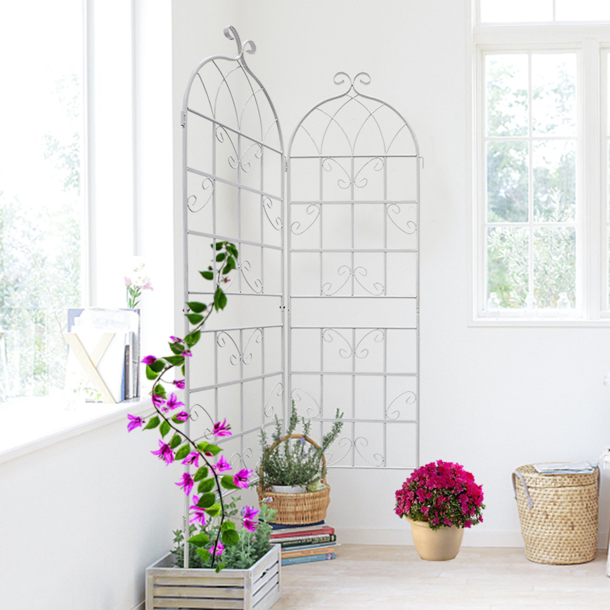 Elegant white metal garden trellis with ornate scrollwork for climbing plants