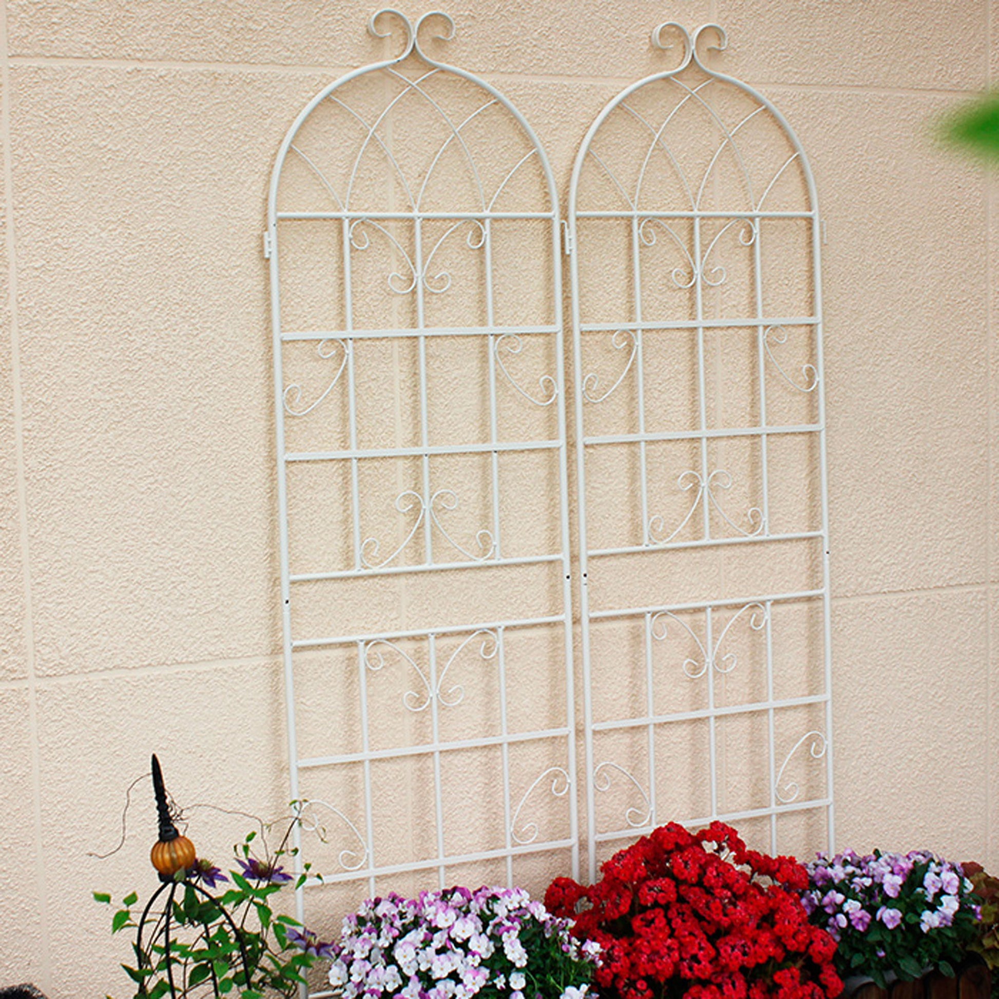 White metal arched trellis perfect for climbing plants in your garden