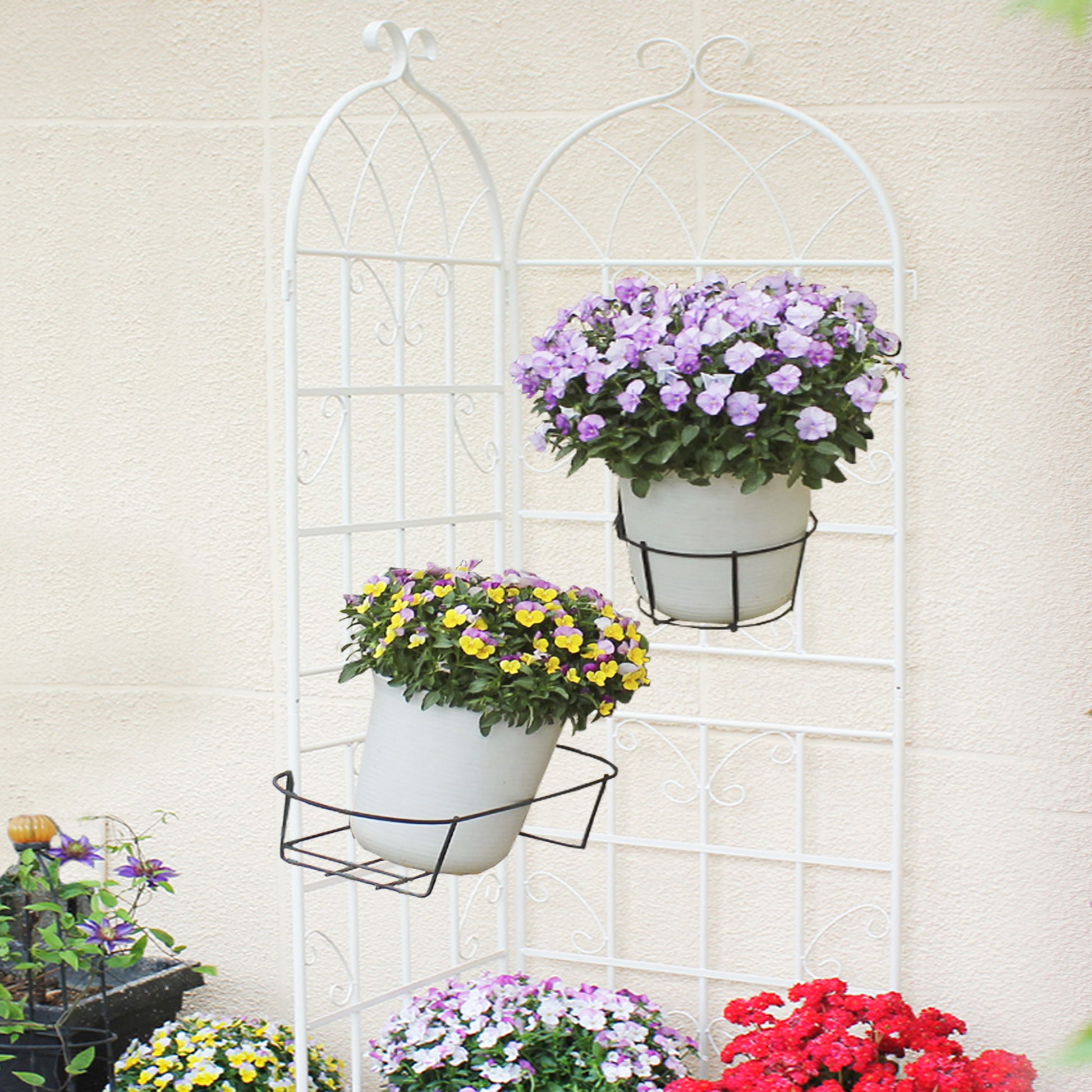 White metal garden trellis displaying pots of purple and yellow pansies