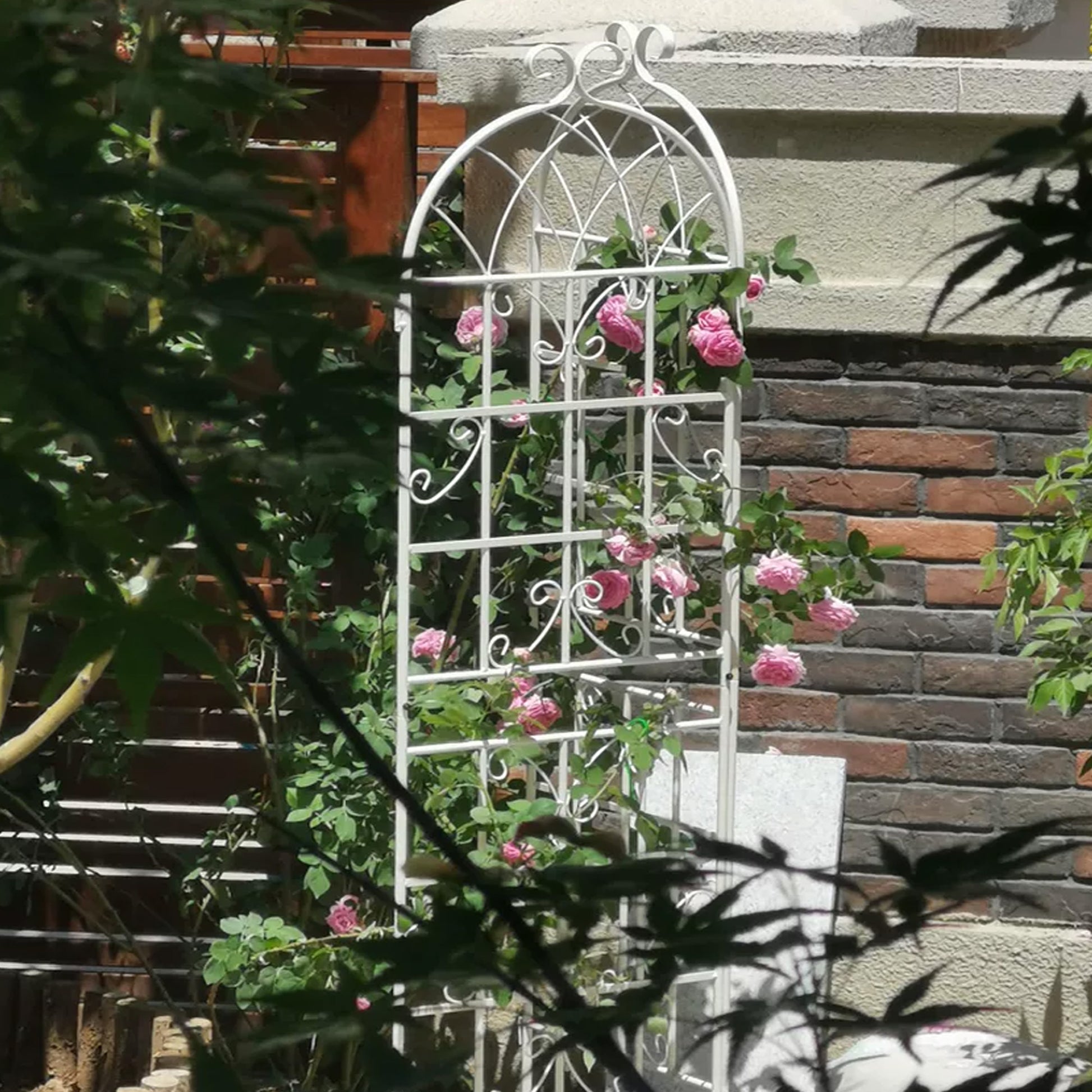 White metal garden trellis supporting climbing pink roses and greenery