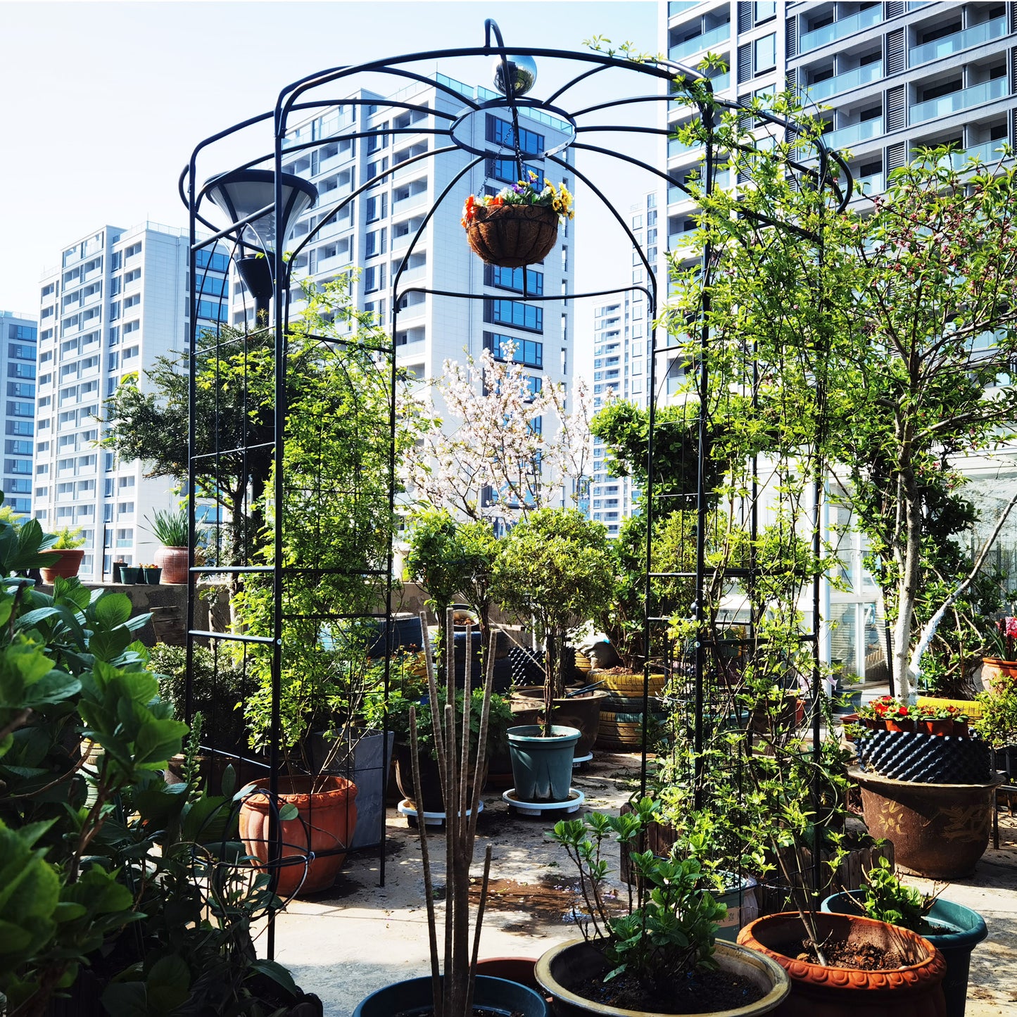 Black metal garden arbor with hanging flower basket and lush greenery