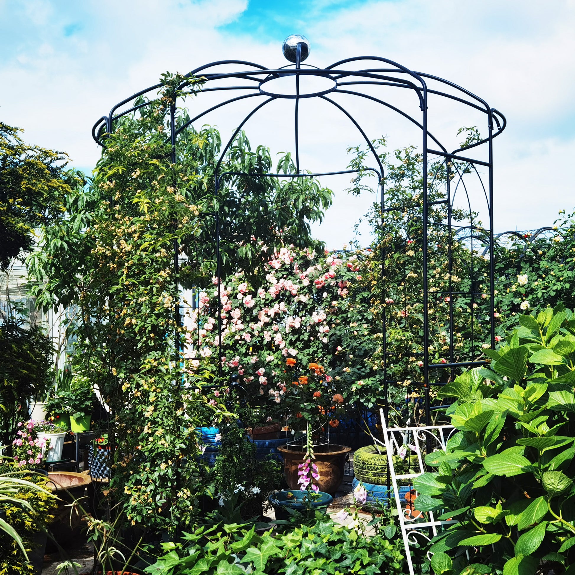 Wrought iron garden gazebo with climbing roses and lush greenery under a blue sky