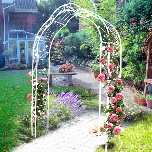 White metal garden arch with climbing pink roses and lavender plants